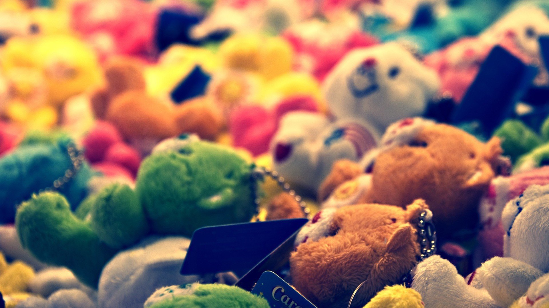 小清新,唯美,温暖,温馨一刻,静物写真