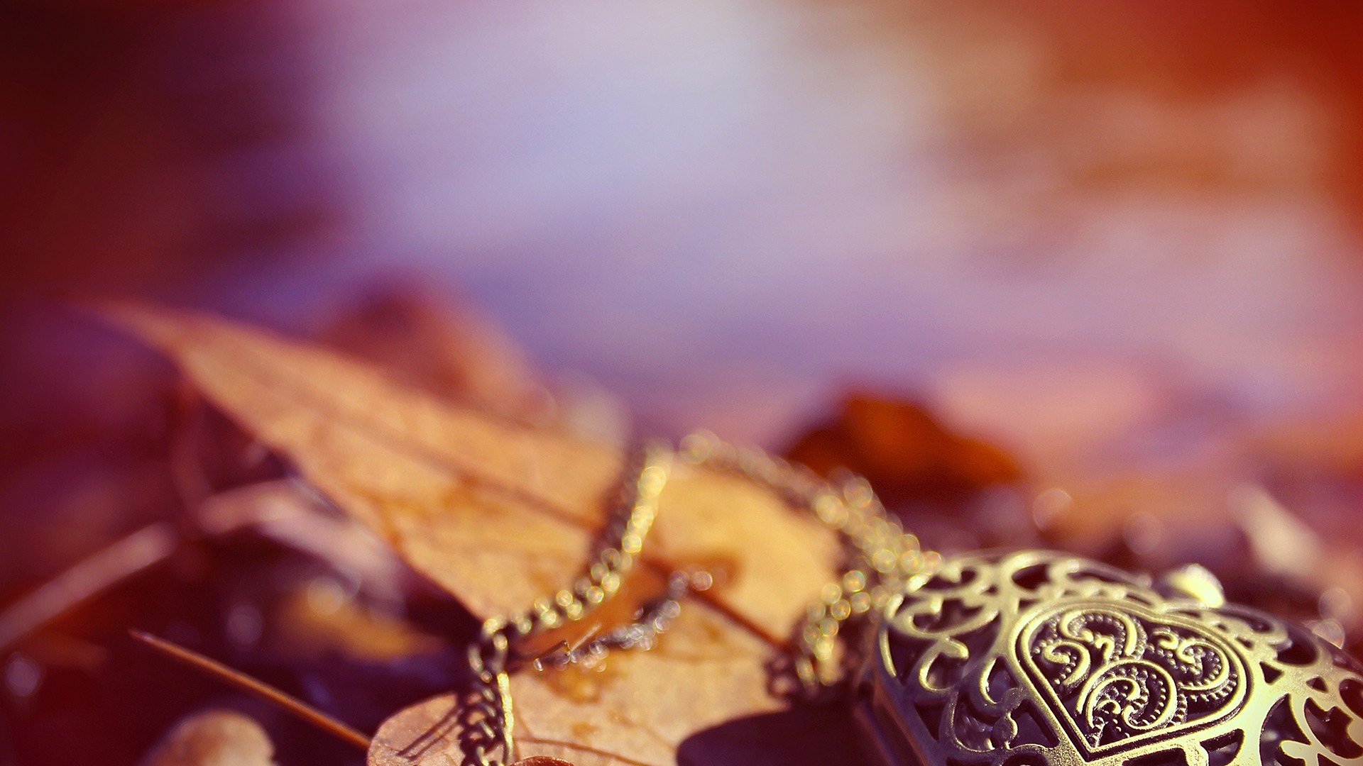 小清新,唯美,温暖,温馨一刻,静物写真