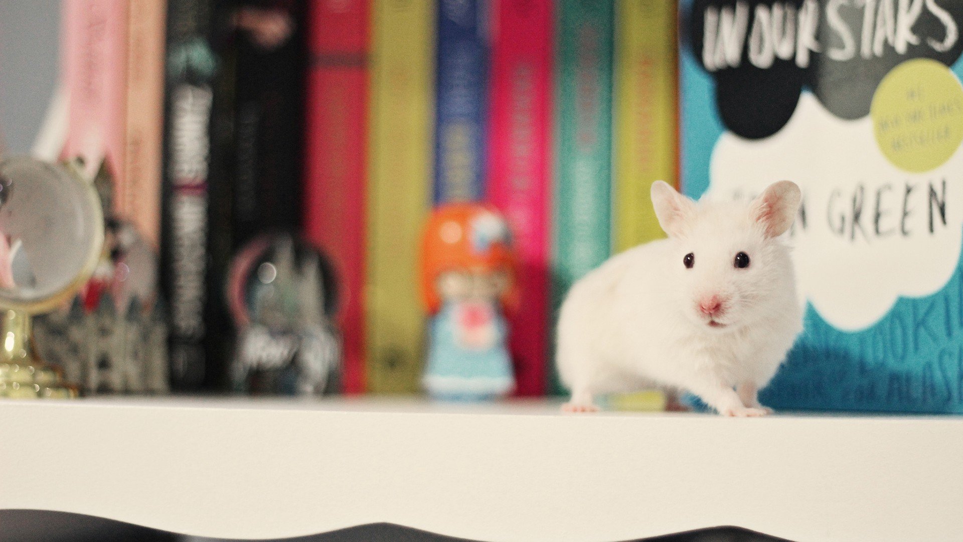 小清新,唯美,温暖,温馨一刻,静物写真