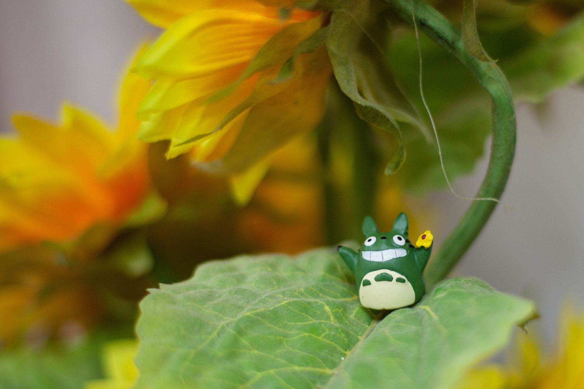 小清新,唯美,温暖,温馨一刻,静物写真,龙猫