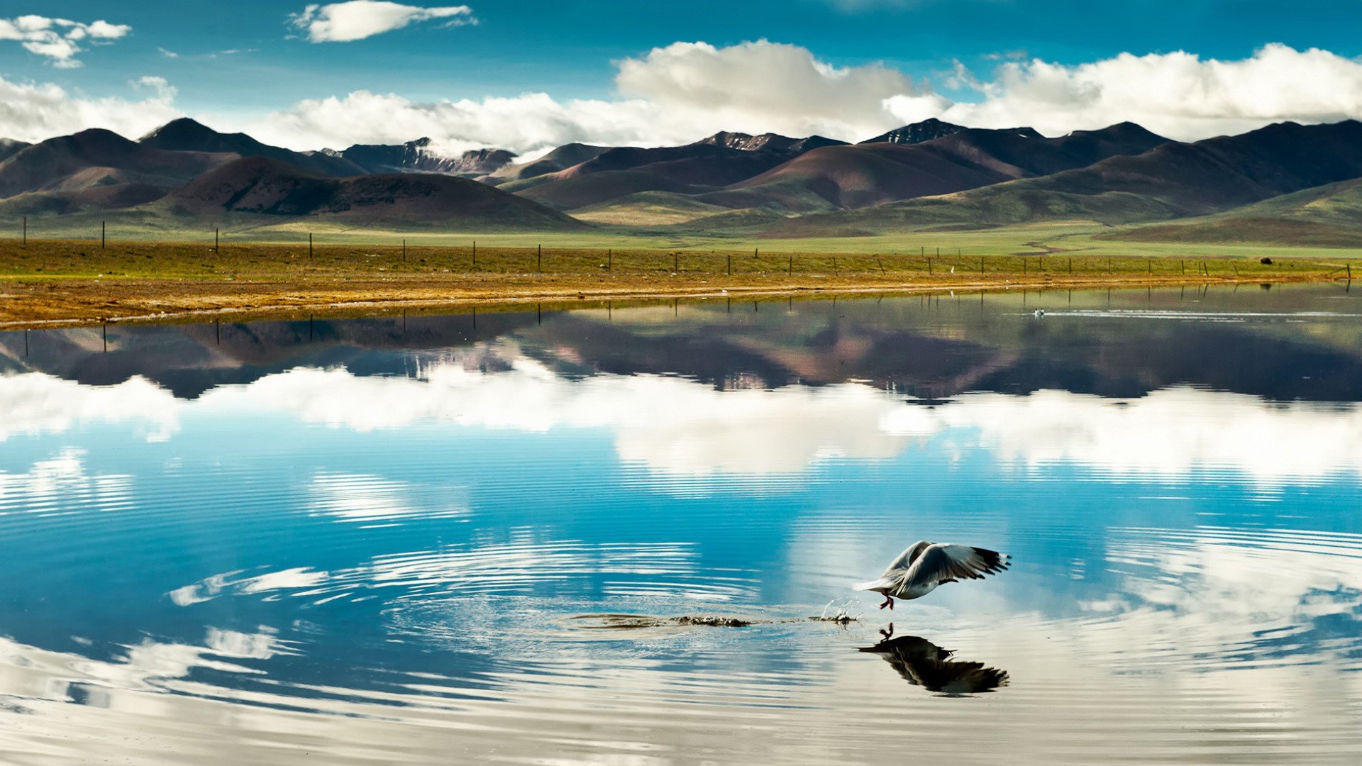 风景,自然风光,旅行,天堂,西藏,旅游胜地,自由,净化心灵
