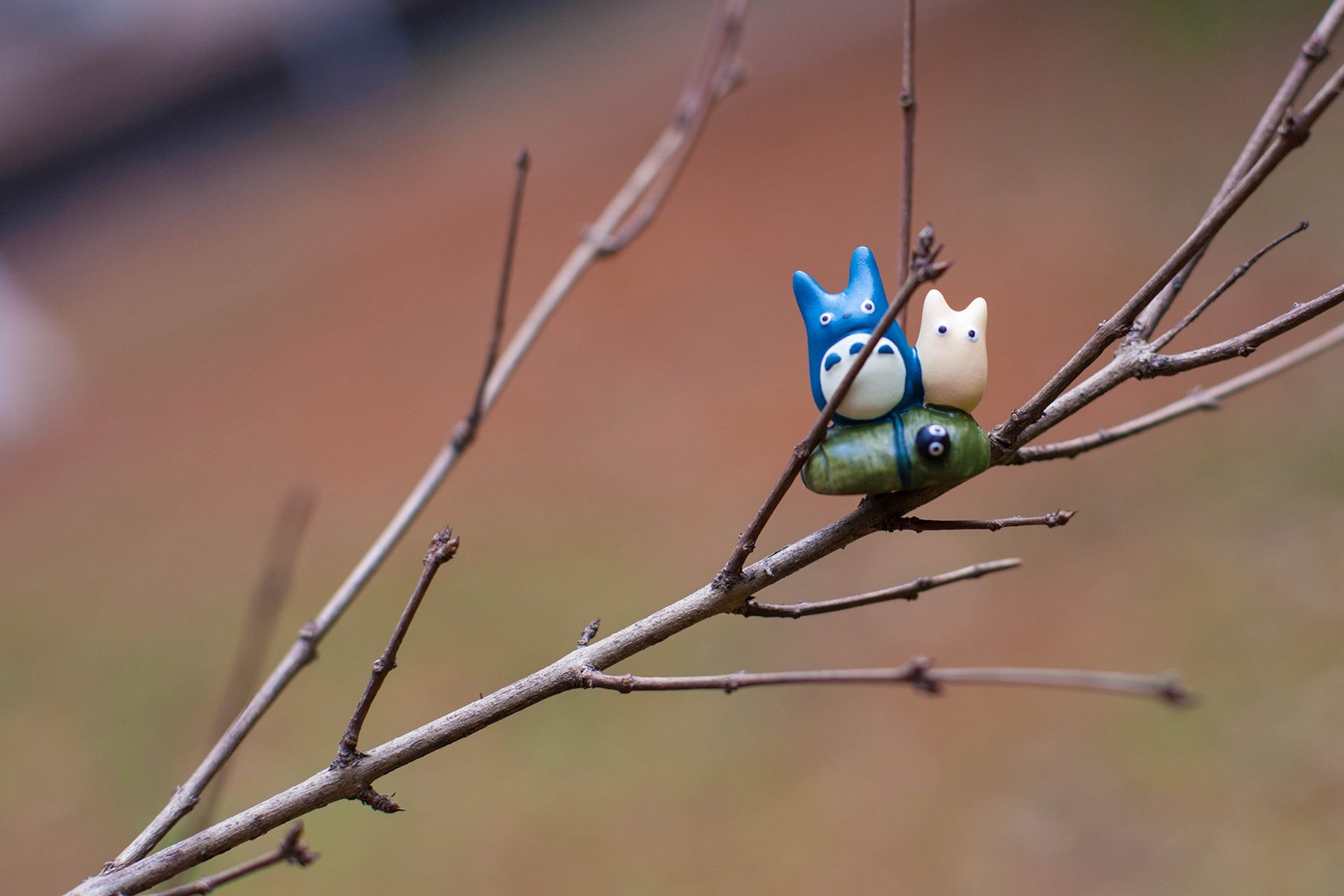 小清新,唯美,温暖,温馨一刻,静物写真,龙猫