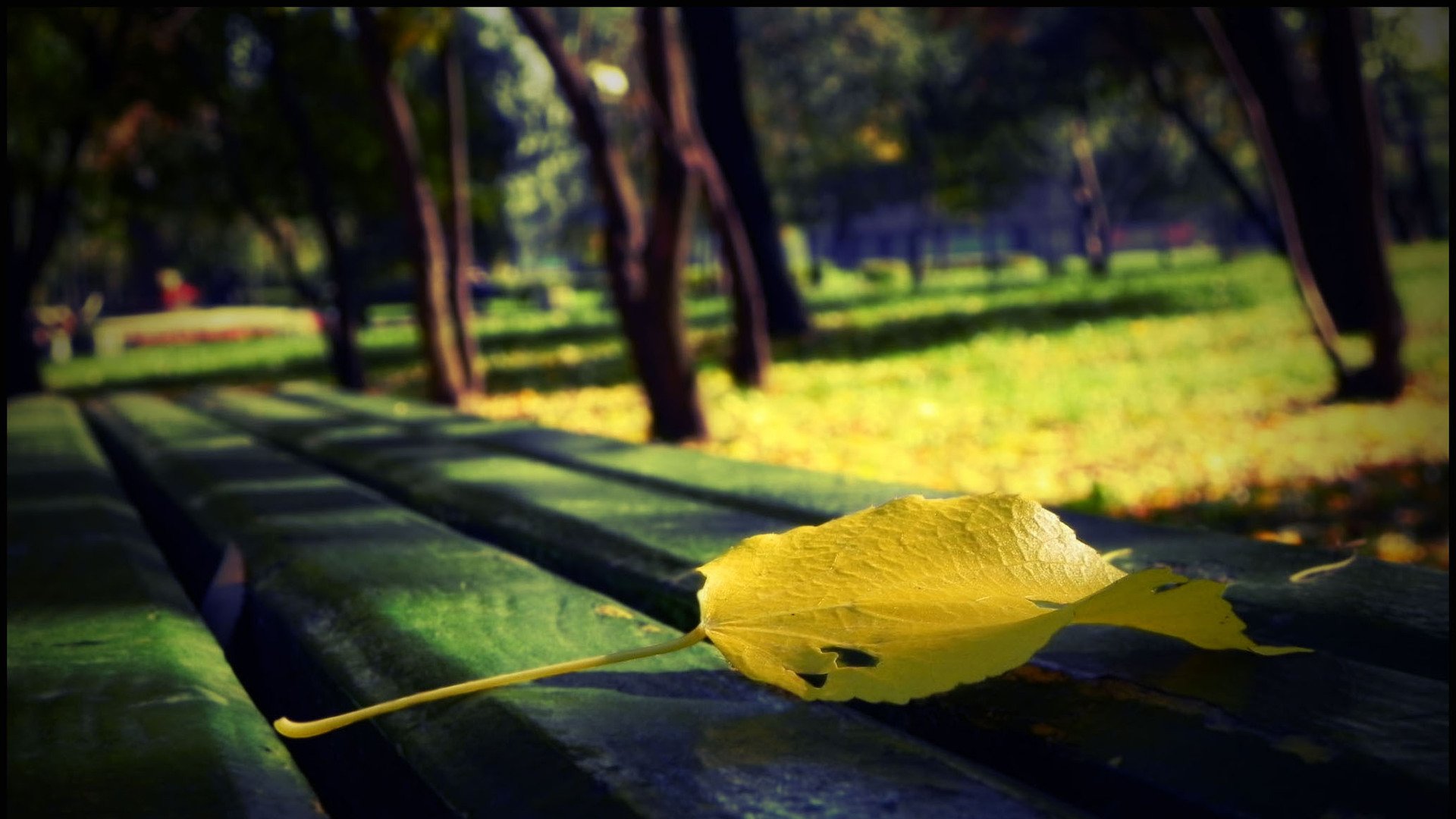 自然风光,绿色,清新,唯美,意境,炎炎夏日,旅游胜地,风景