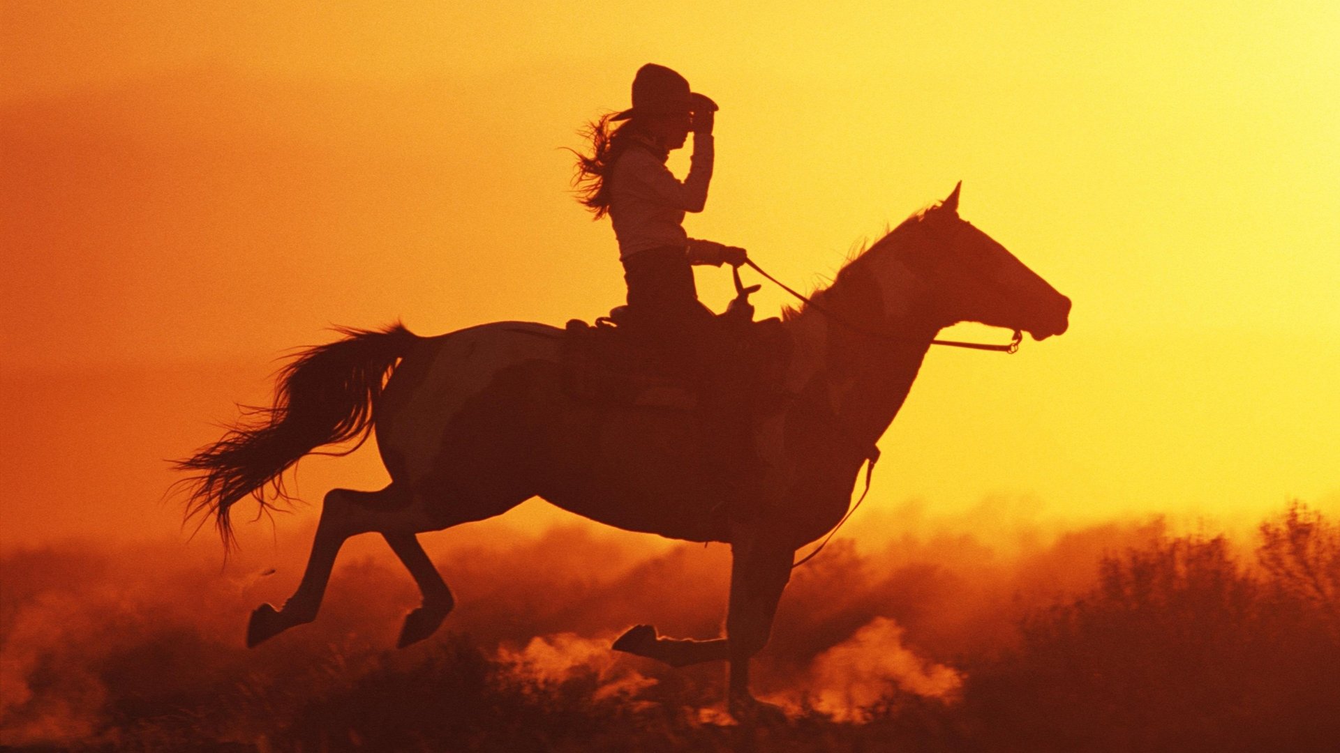 美女,女性,清纯,萌妹子,宅男诱惑,清新,美好,安静,温柔,暖妹子,骑马