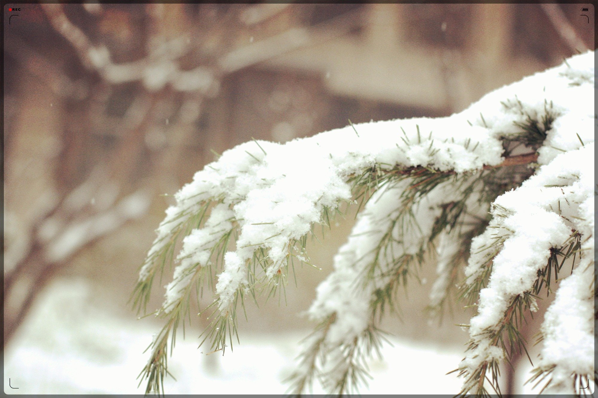 自然,风光,风景,冰天雪地,雪,冬天,冷,寒冷