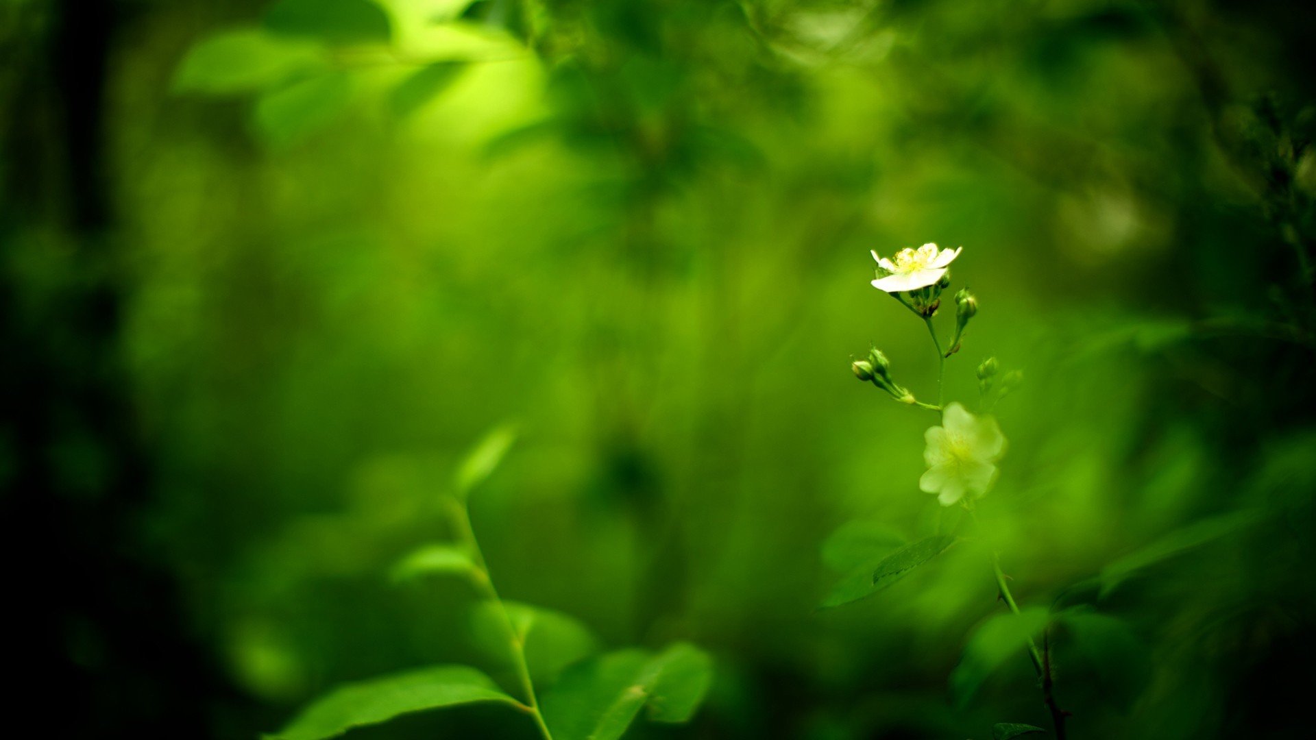 小清新,唯美,温暖,安静