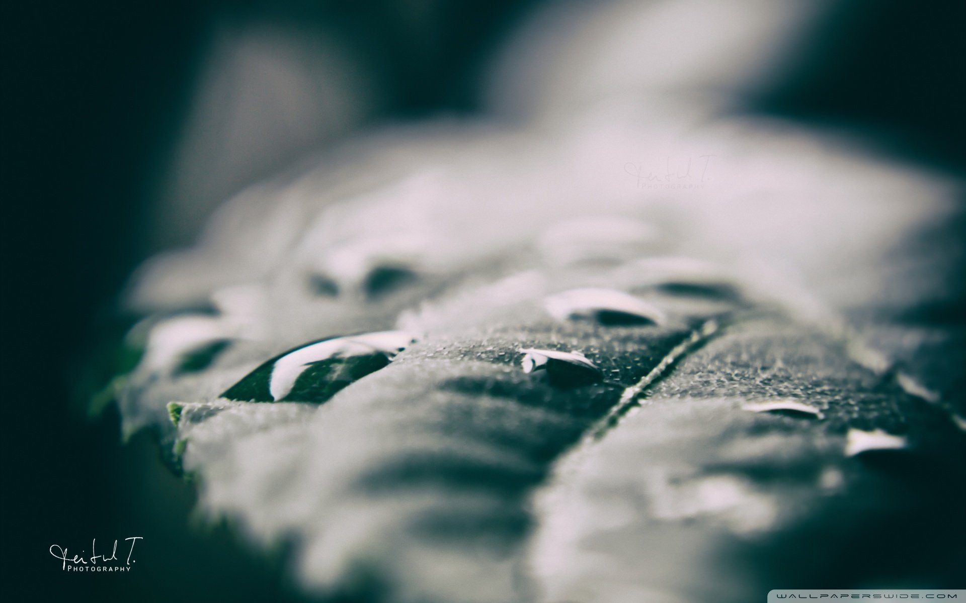 小清新,唯美,温暖,安静