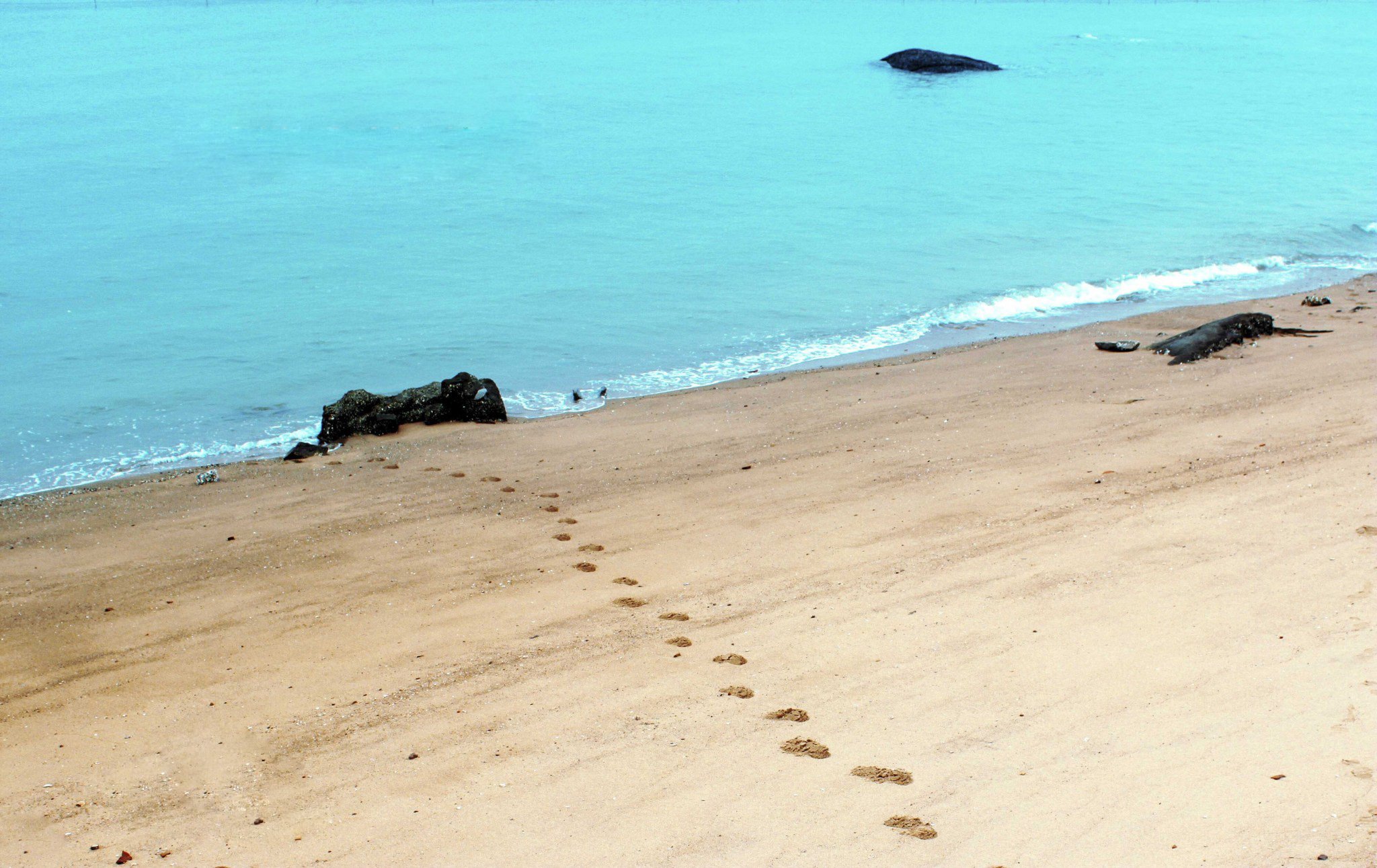 自然风光,绿色,清新,唯美,意境,炎炎夏日,旅游胜地,风景