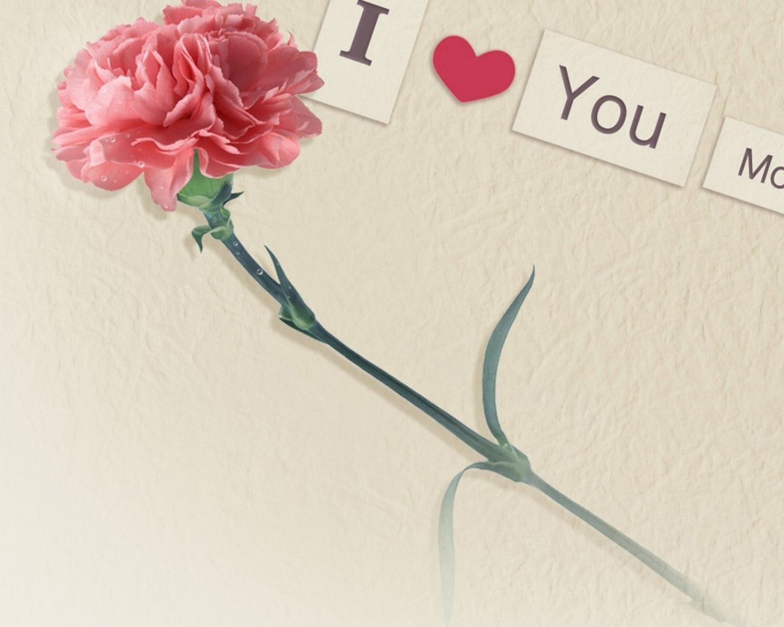 母亲节,唯美温馨,温馨一刻,妈妈