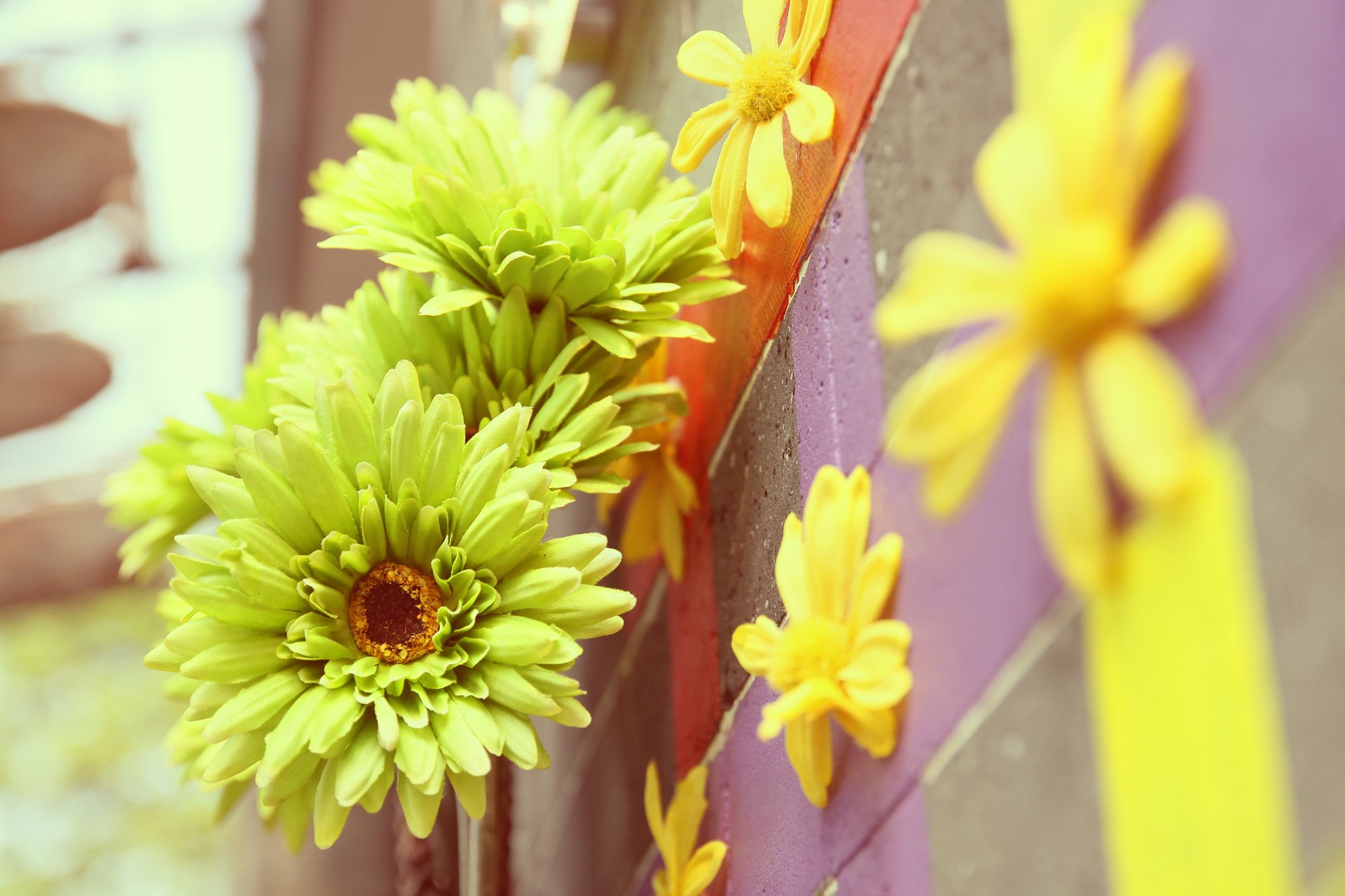 小清新,唯美,温馨,温暖,阳光,绿色养眼,自然,清新淡雅,花,春天,花团锦簇