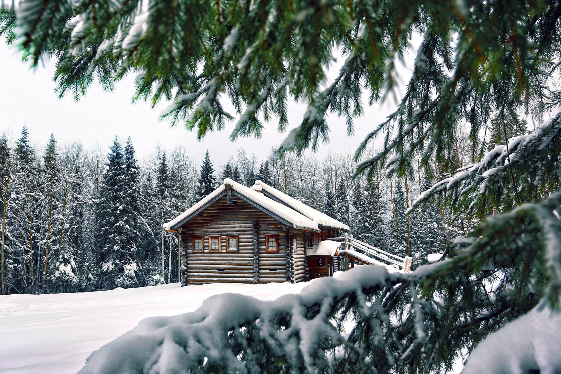 自然,风光,风景,冰天雪地,雪,冬天,冷,寒冷