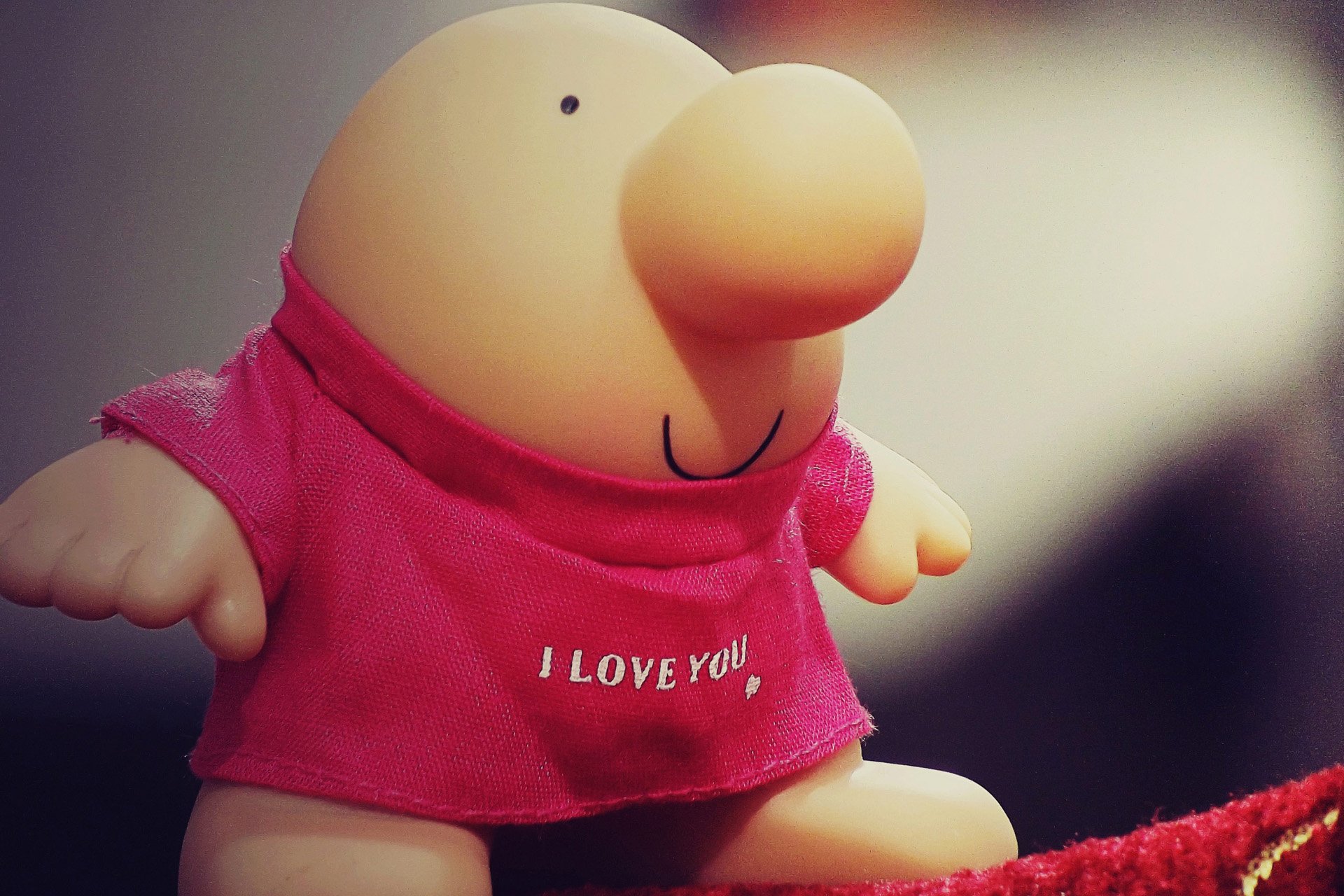 小清新,唯美,温馨,温暖,阳光,治愈系,安静,生活,慢生活,清新淡雅,温馨一刻,静物写真,物语