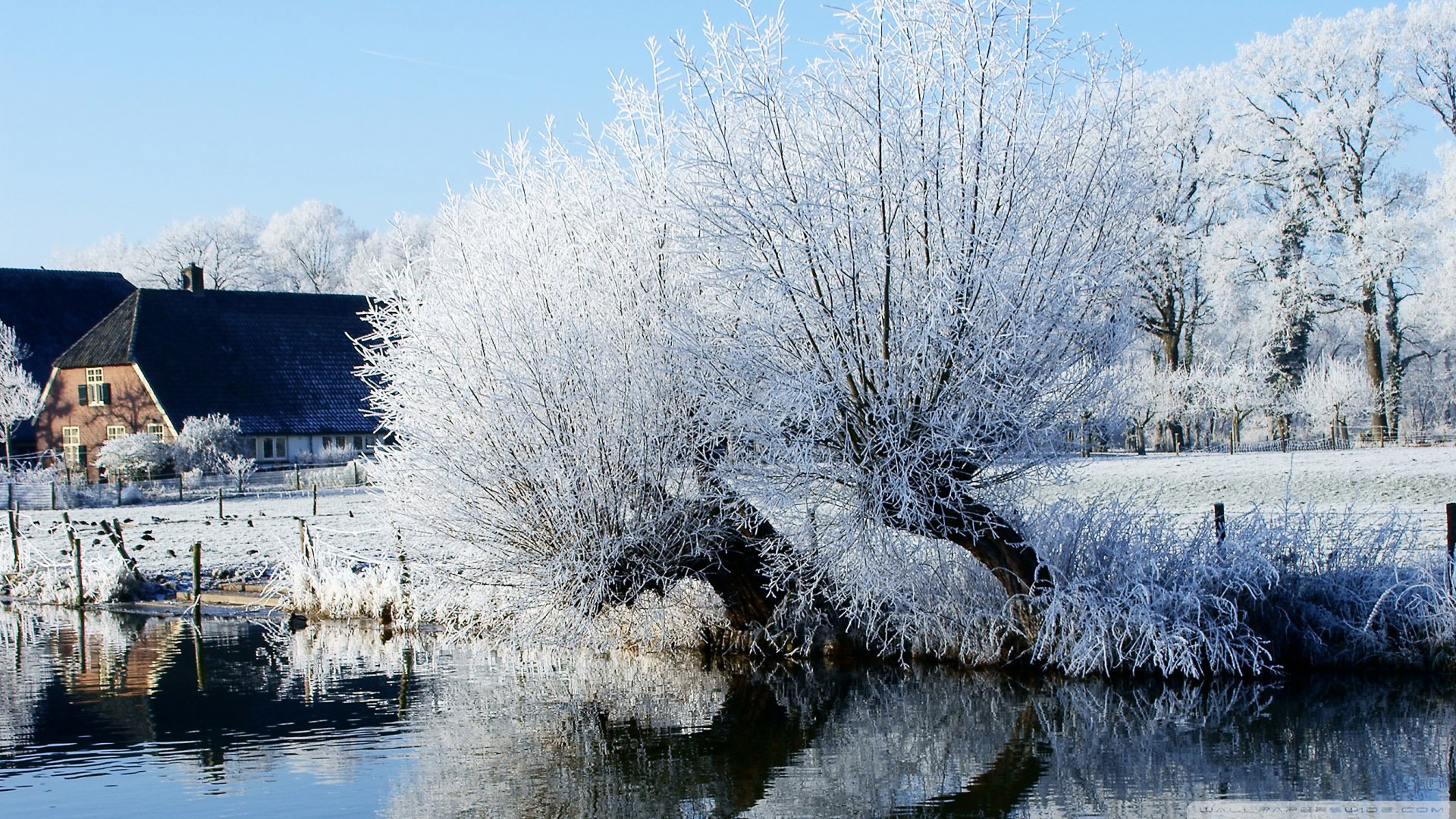 自然,风光,风景,冰天雪地,雪,冬天,冷,寒冷