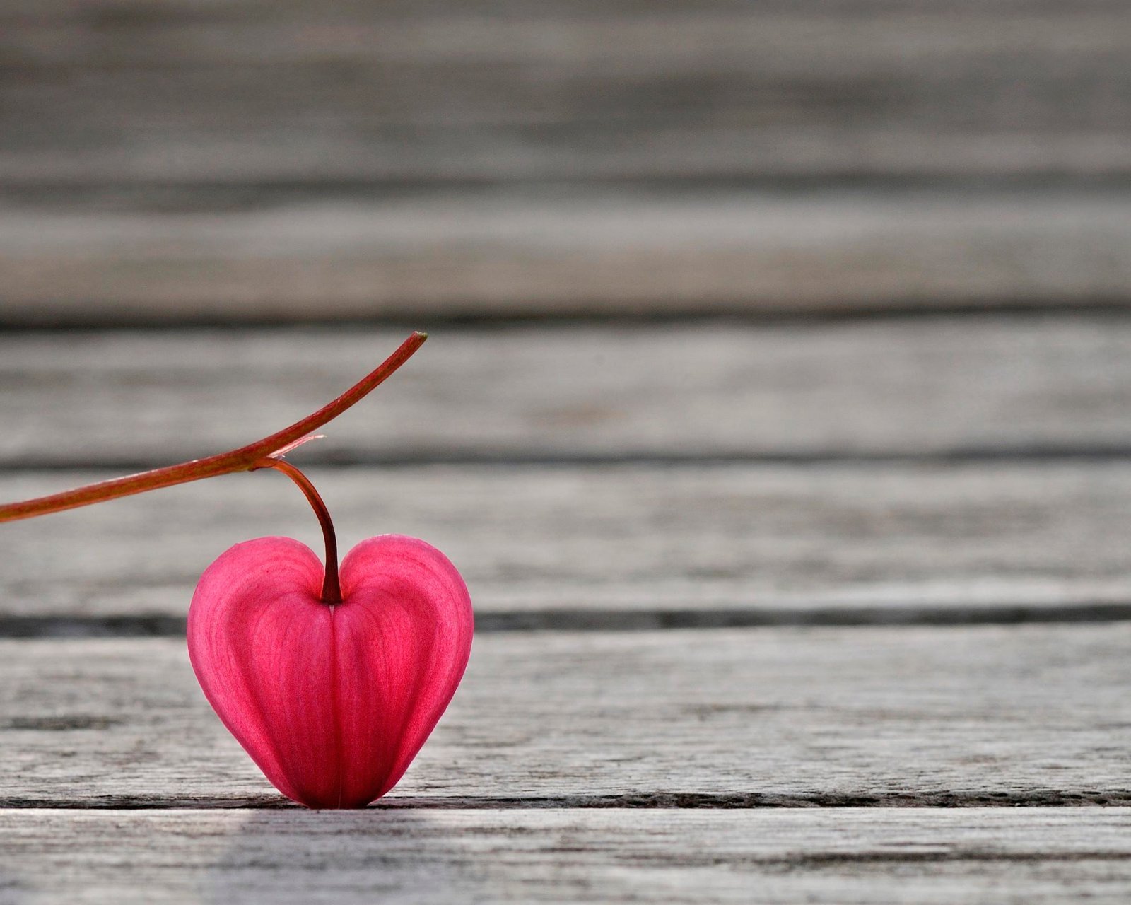 大自然的爱,心,唯美,风景,自然