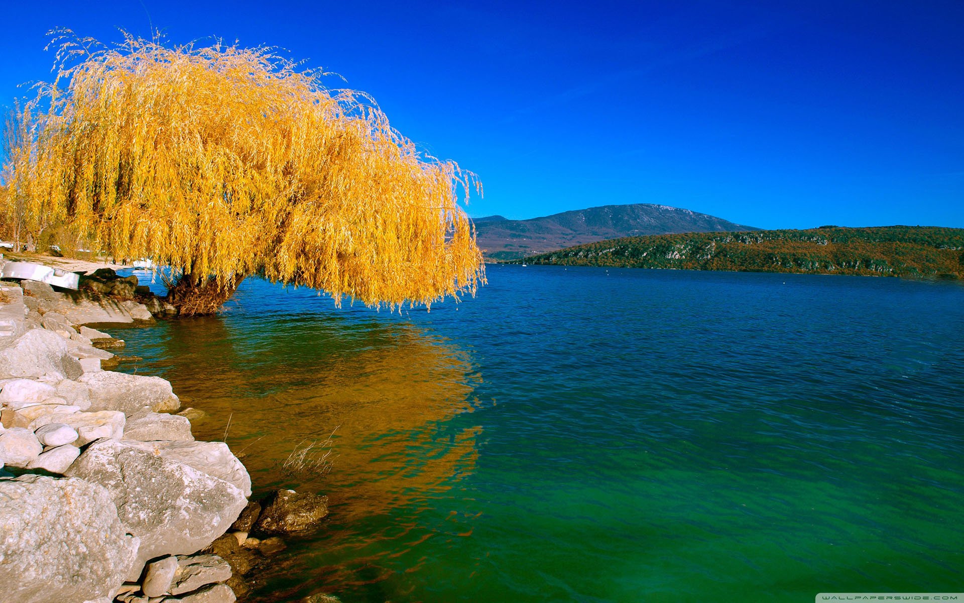自然,风光,风景,秋天,秋意正浓