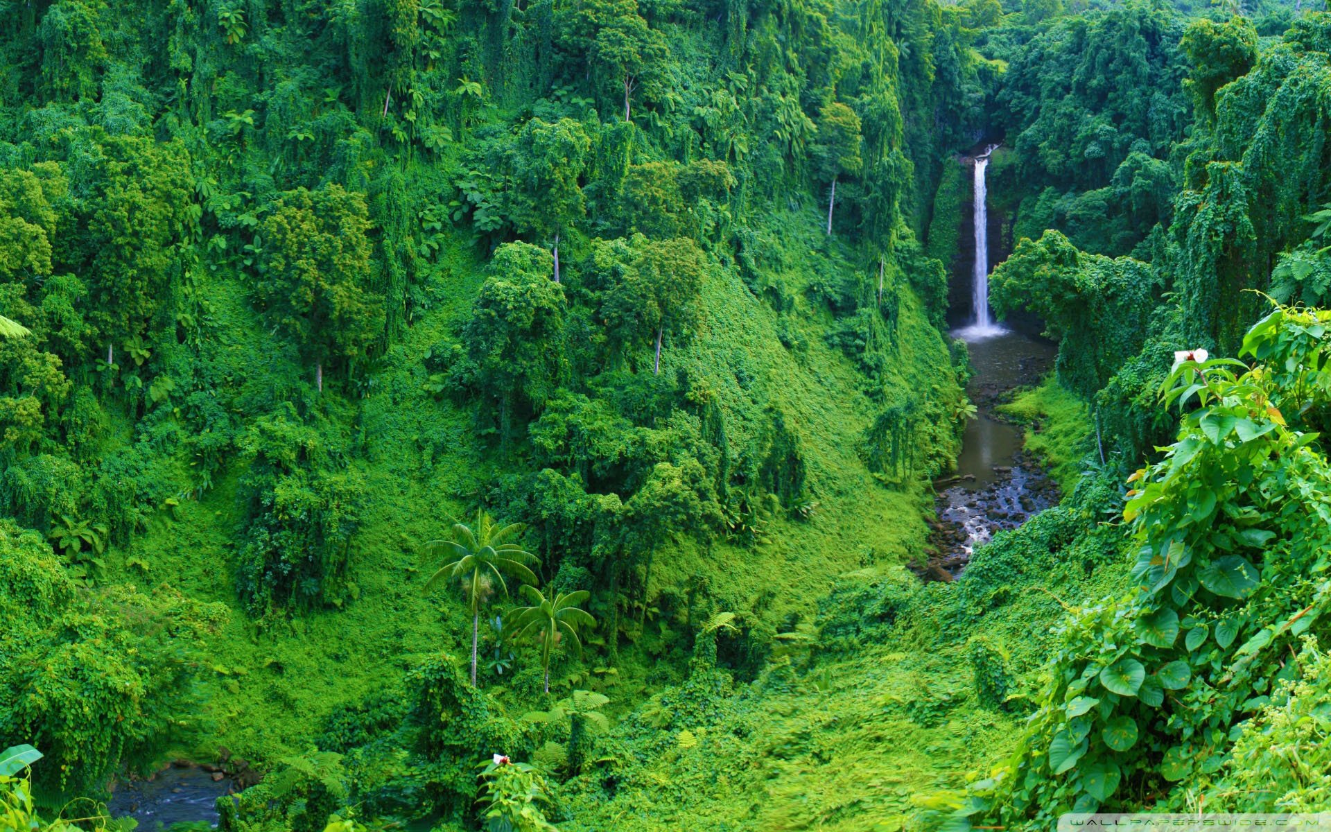 自然风光,绿色,清新,唯美,意境,炎炎夏日,旅游胜地,风景