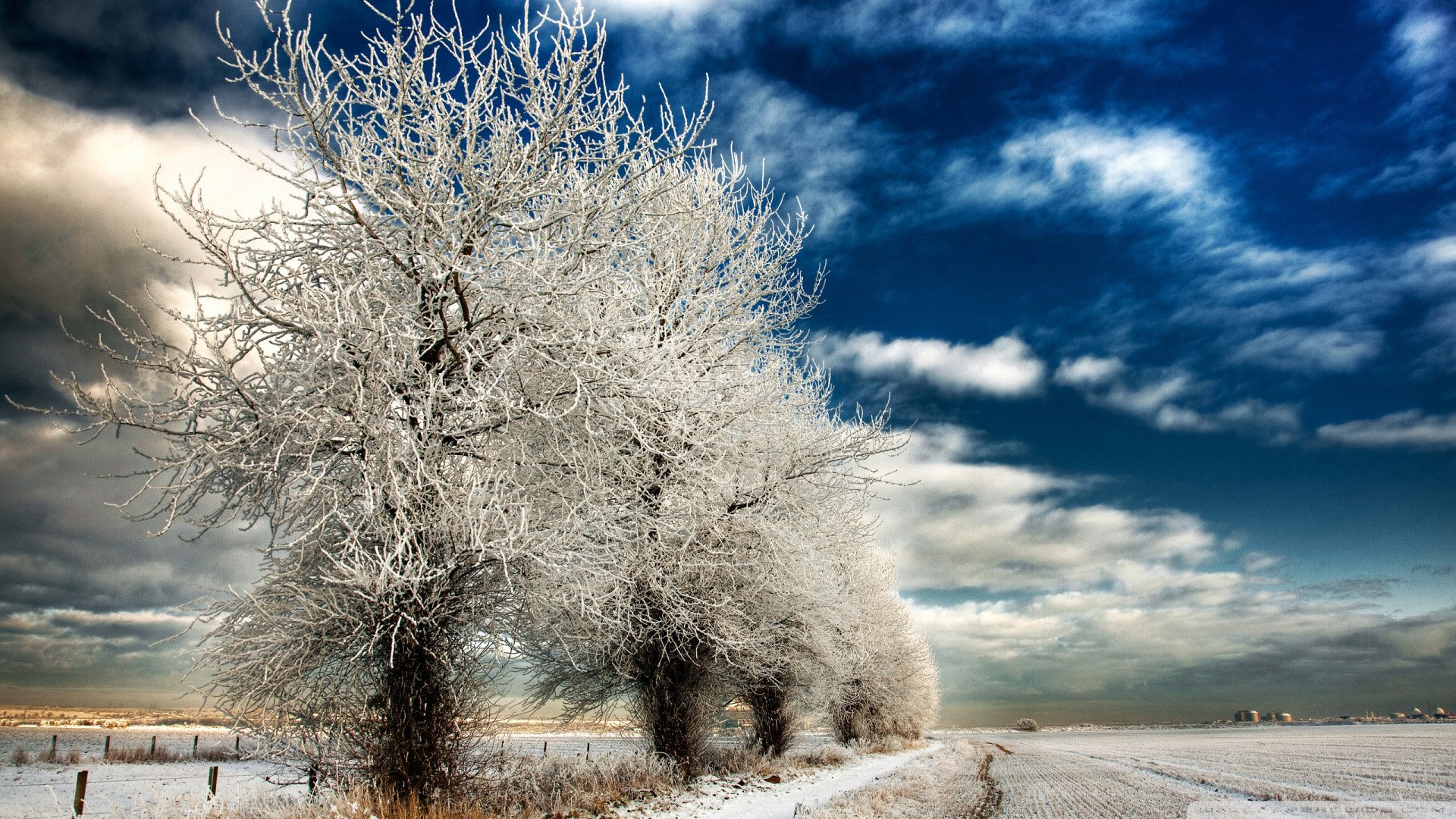 自然,风光,风景,冰天雪地,雪,冬天,冷,寒冷