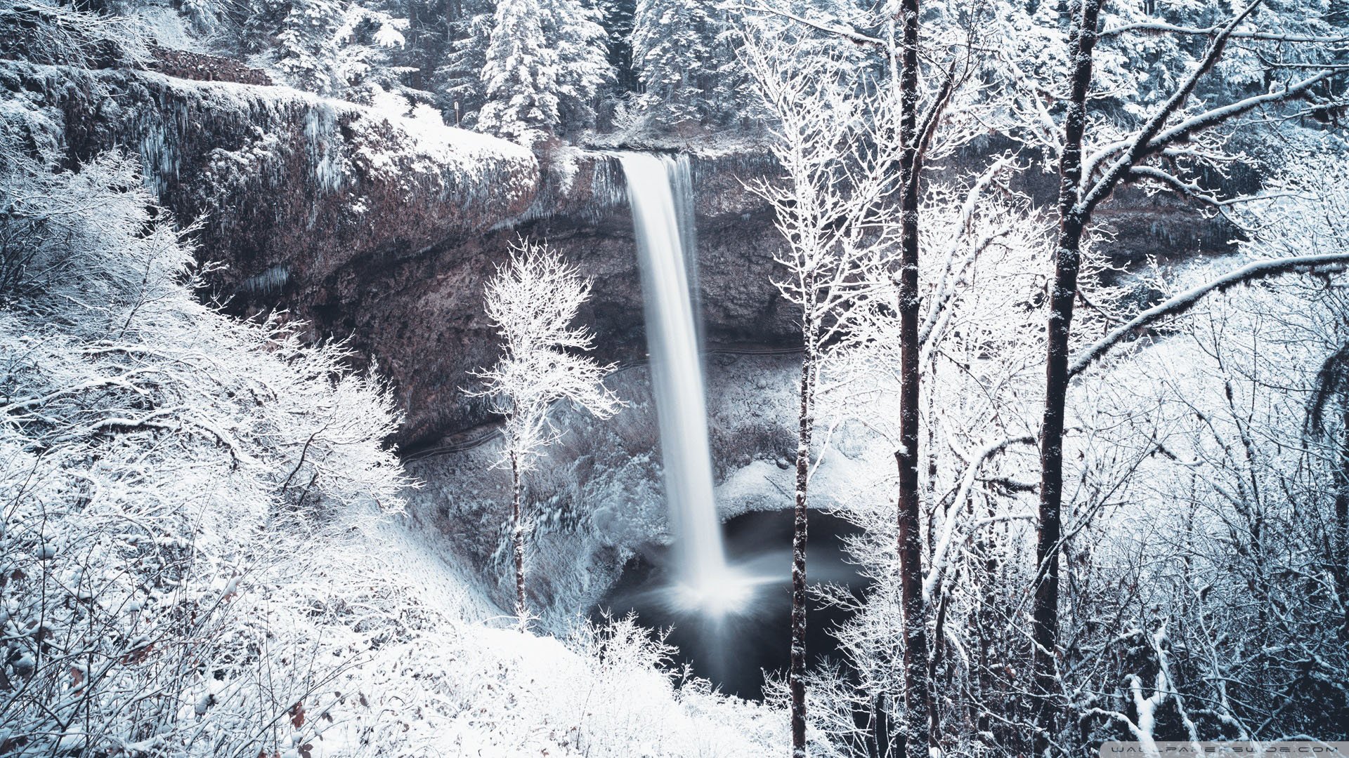 自然,风光,风景,冰天雪地,雪,冬天,冷,寒冷