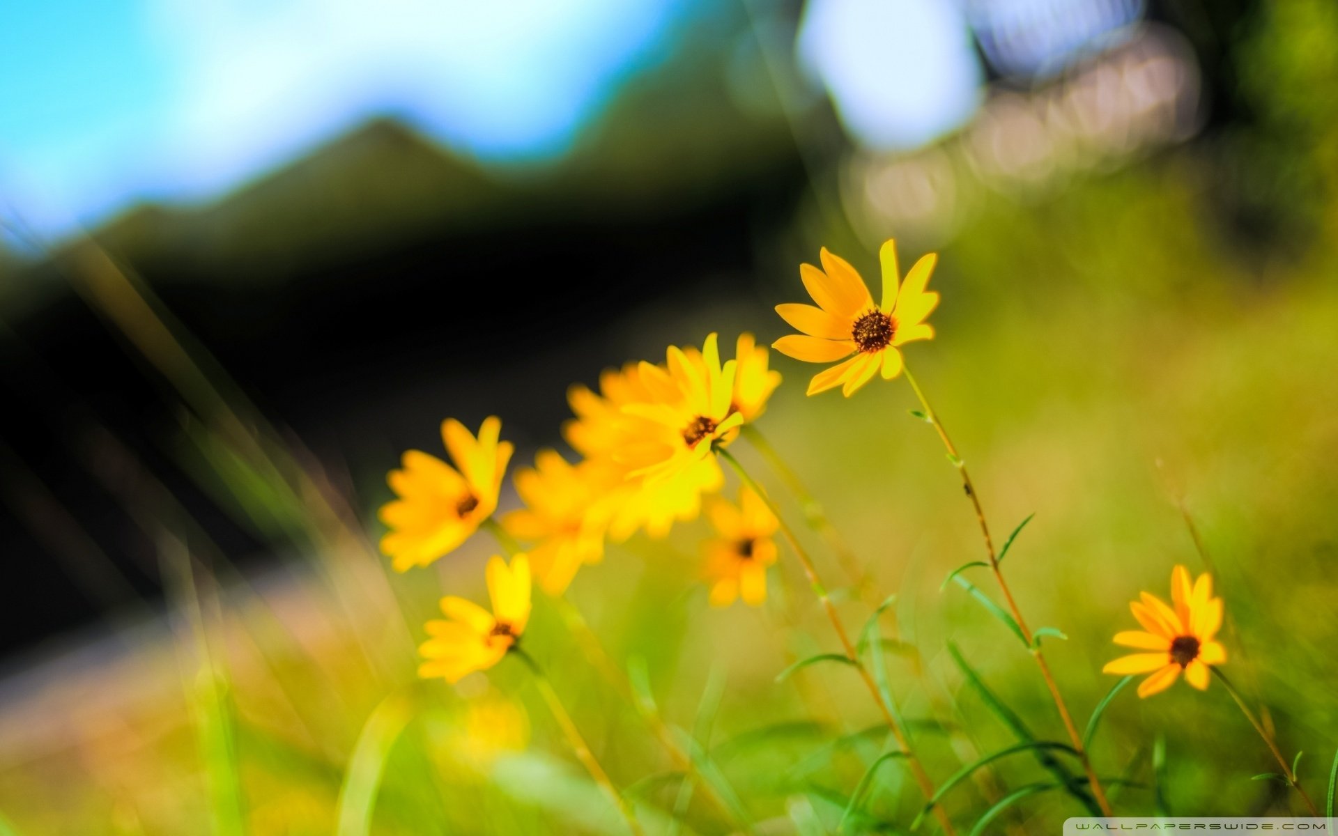 自然风光,绿色,清新,唯美,意境,炎炎夏日,旅游胜地,风景
