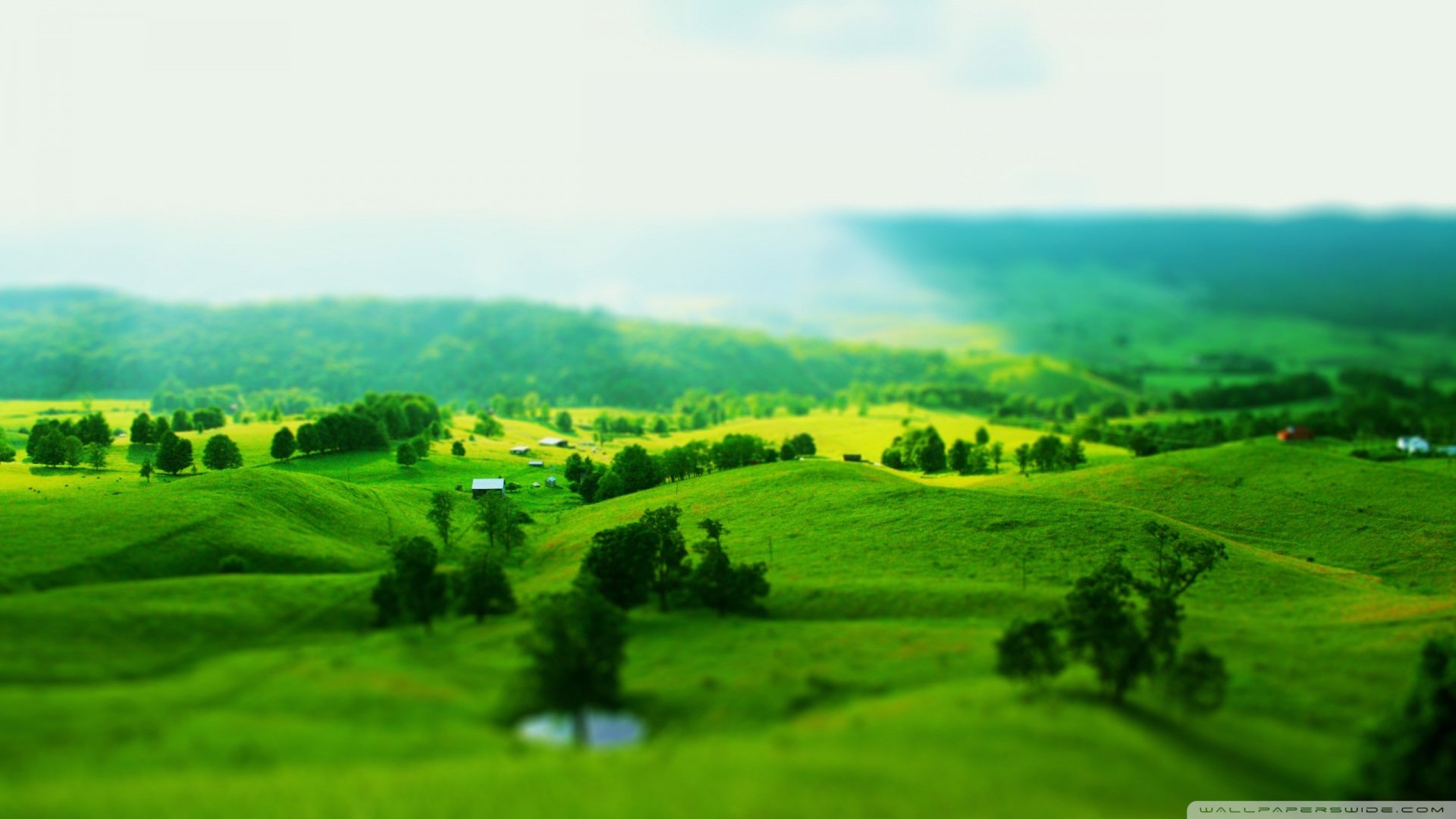 自然,风光,风景,绿色养眼,草,绿色,唯美,意境