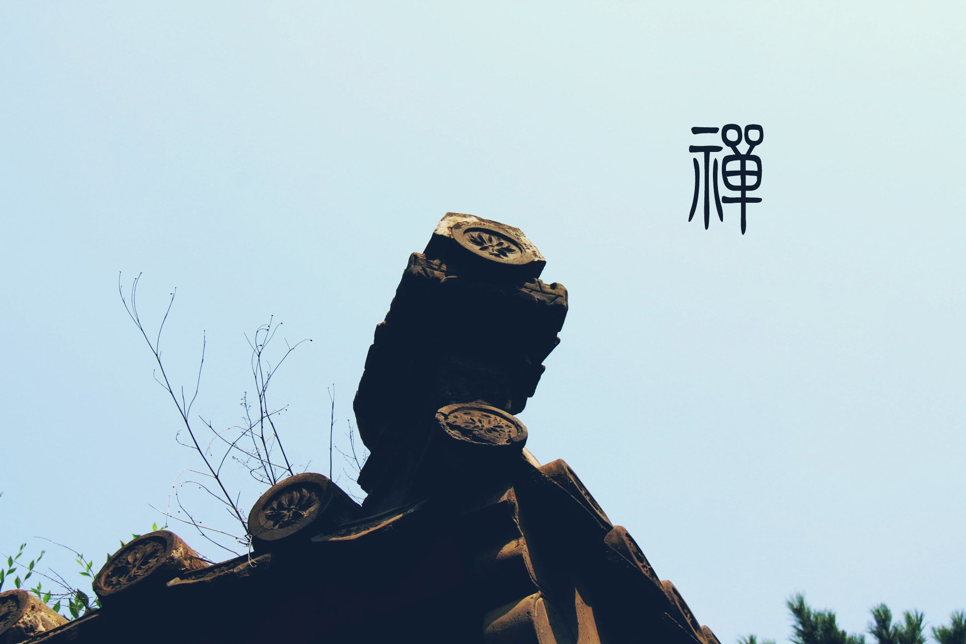 自然,风光,风景,禅境,微距,摄影,意境,安静,禅意古建筑,天空,仰望