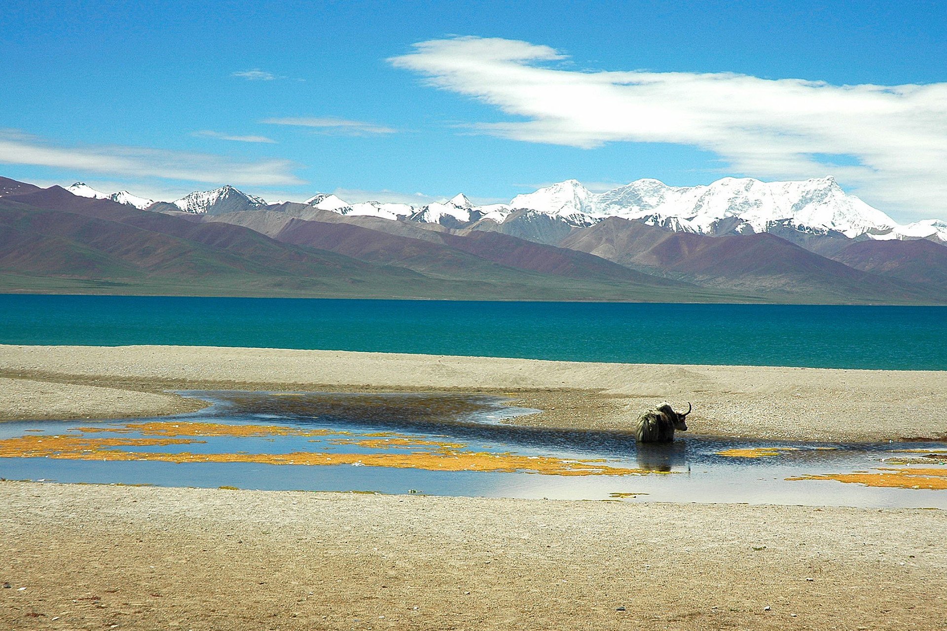 风景,自然风光,旅行,天堂,西藏,旅游胜地,自由,净化心灵