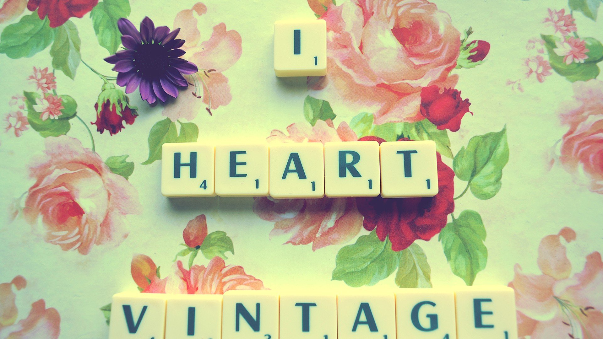 小清新,唯美,温暖,温馨一刻,静物写真