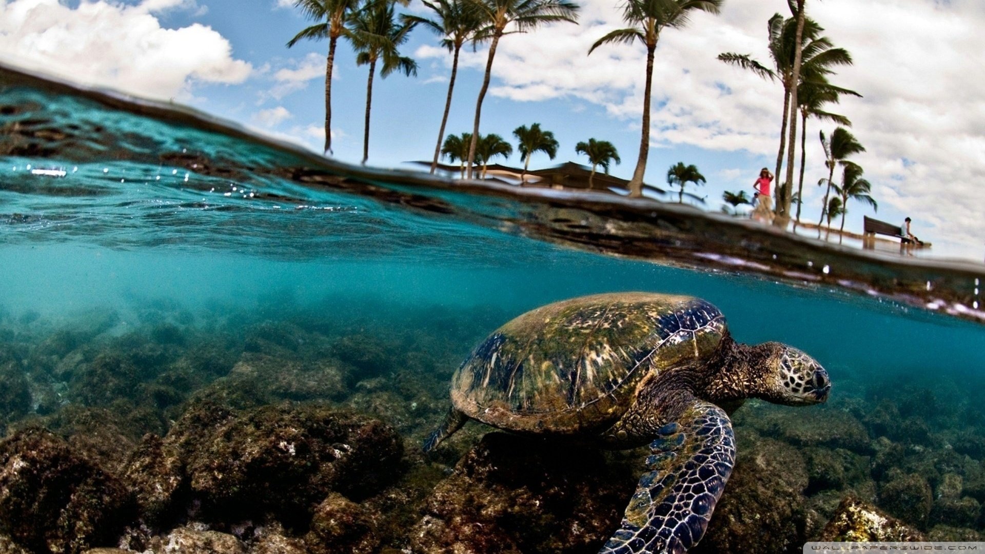自然,风光,风景,海洋天堂,大海,唯美