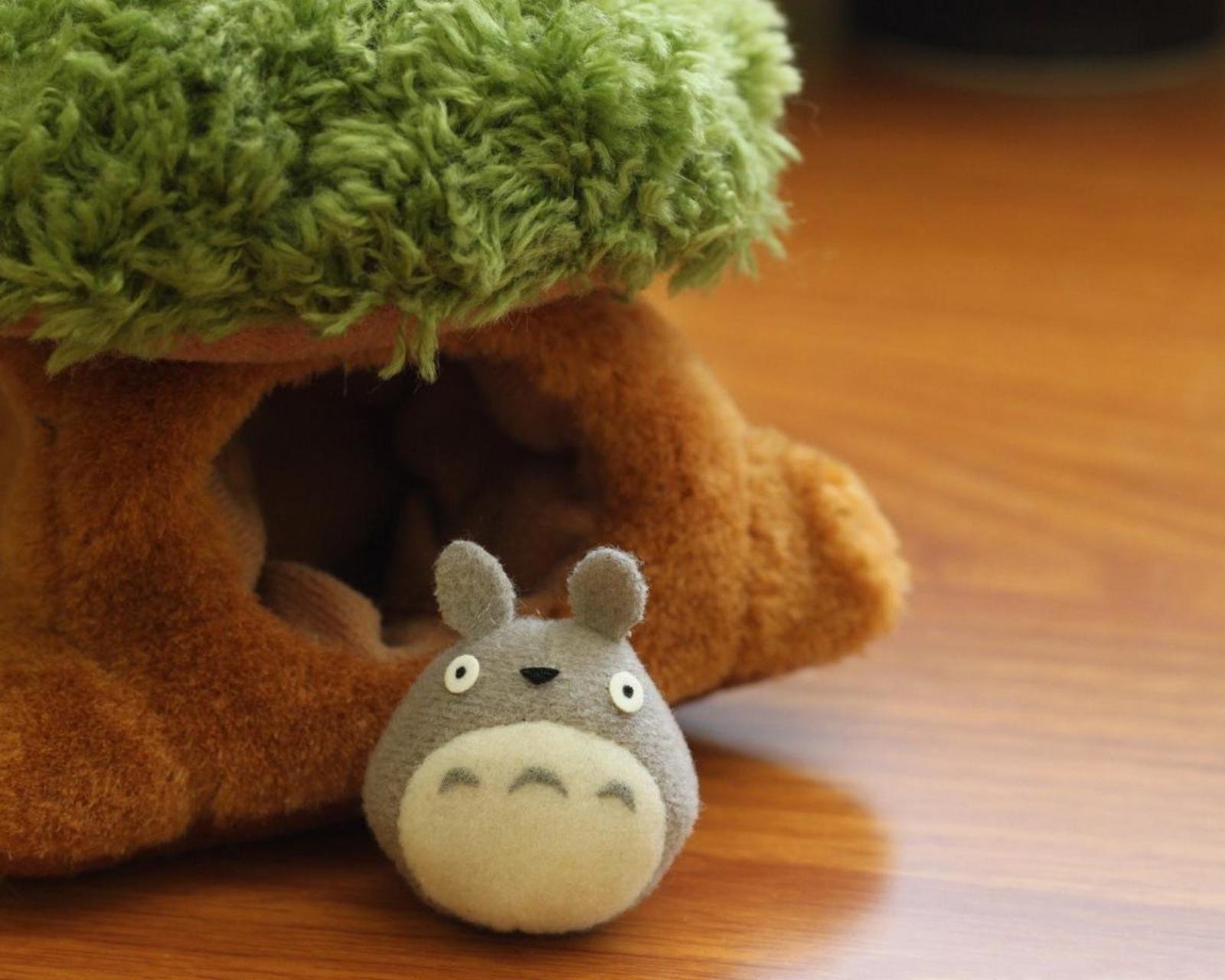 小清新,唯美,温暖,温馨一刻,静物写真,龙猫