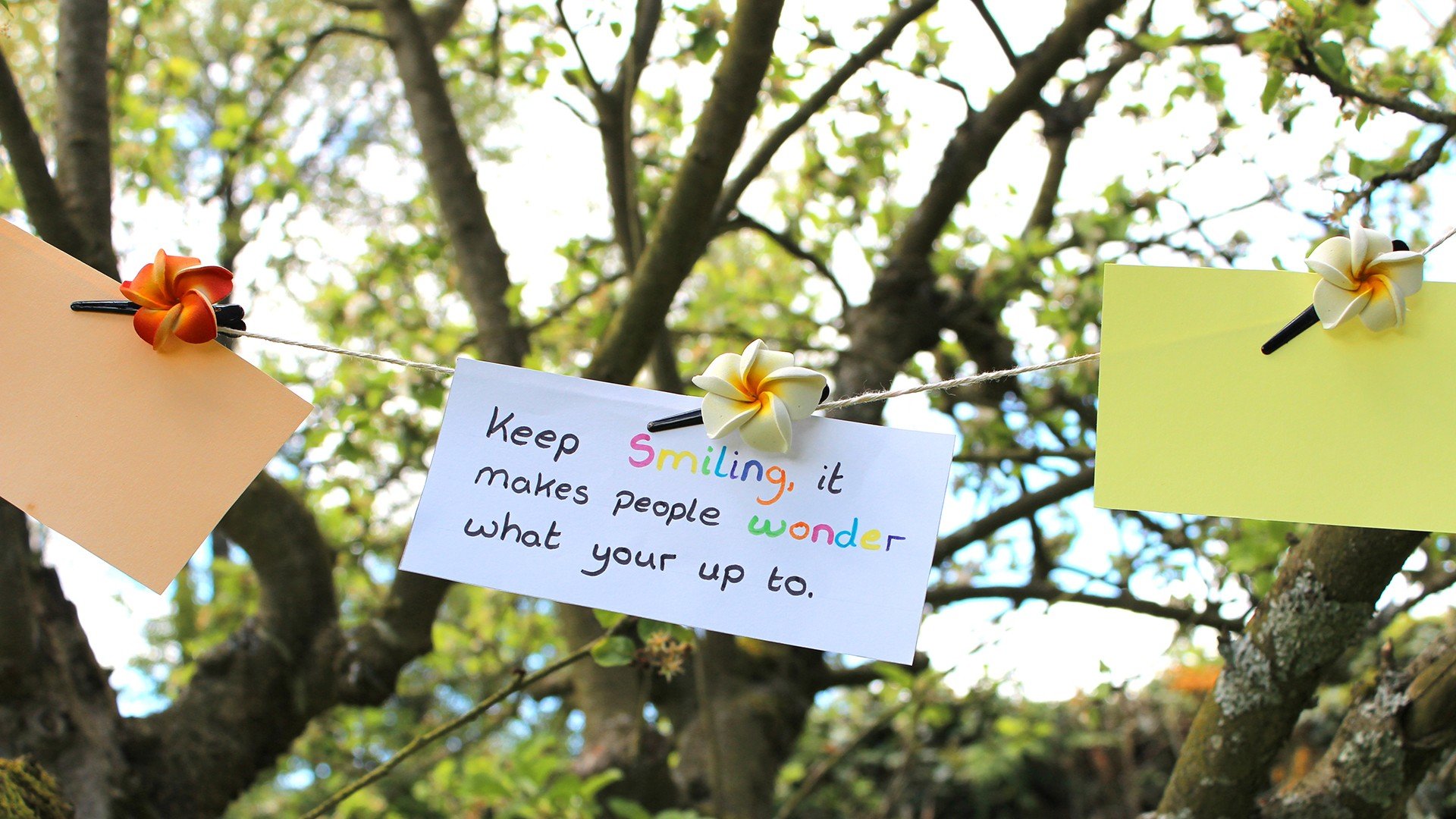 爱情,爱情箴言,文字,浪漫,手写