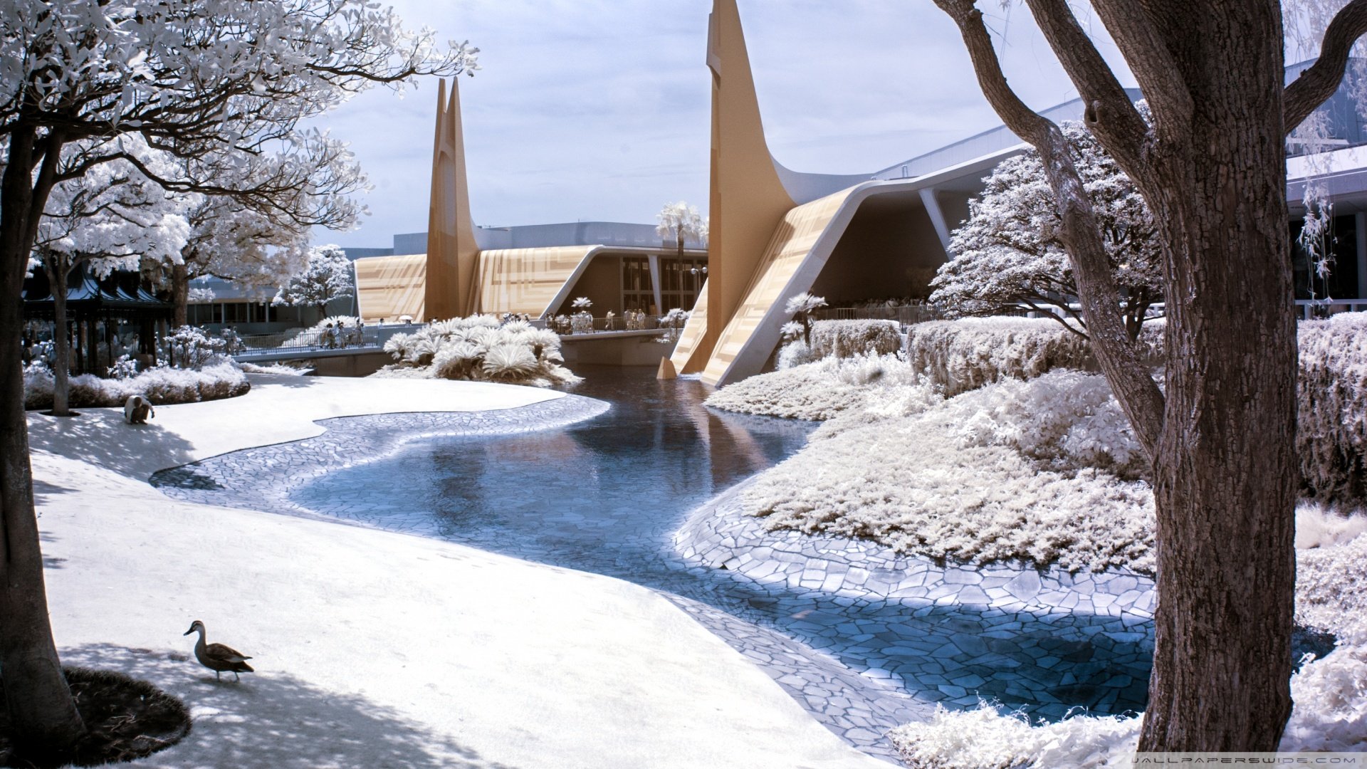 自然,风光,风景,冰天雪地,雪,冬天,冷,寒冷