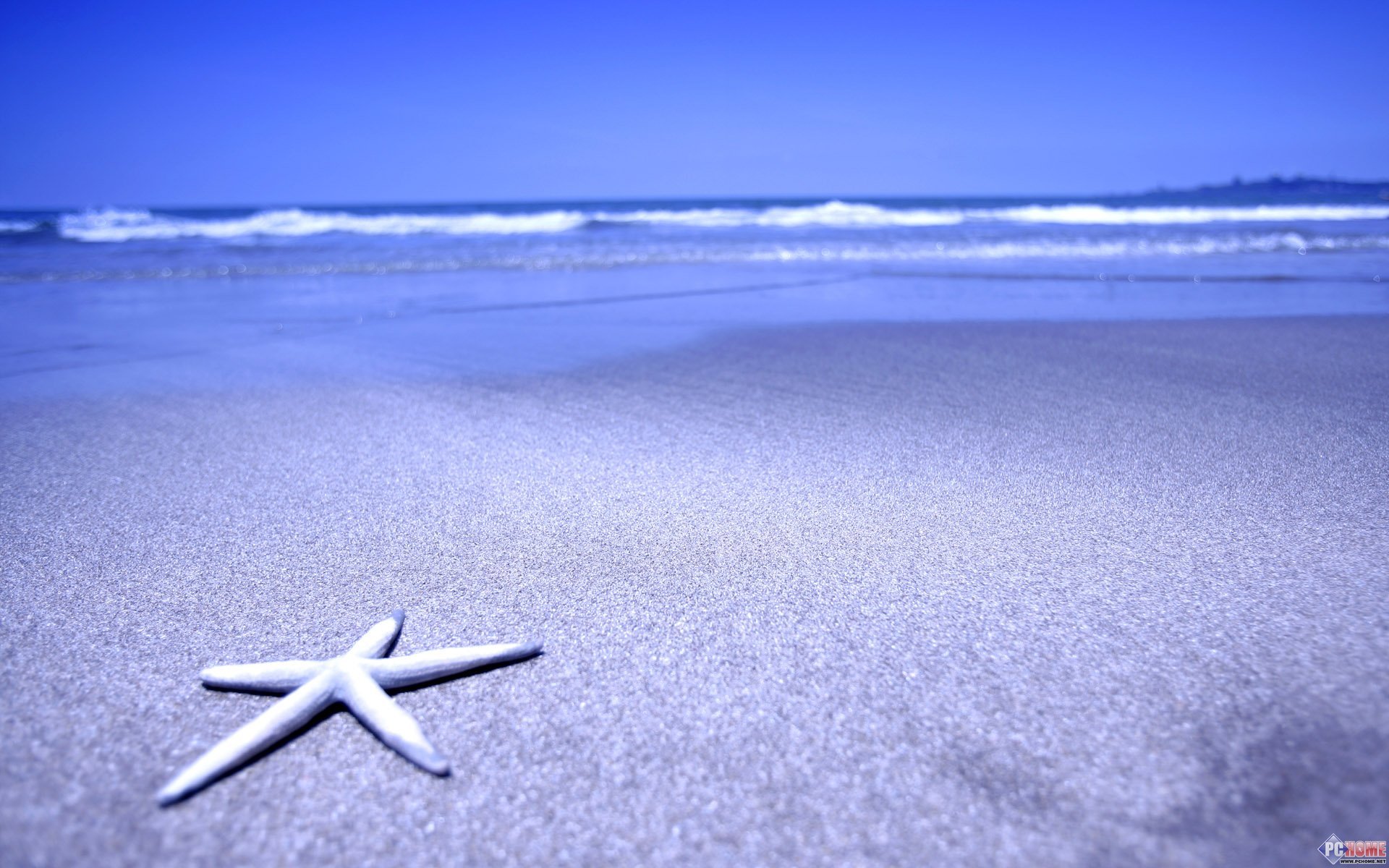 自然,风光,风景,海洋天堂,大海,唯美,海星,海边,岸边