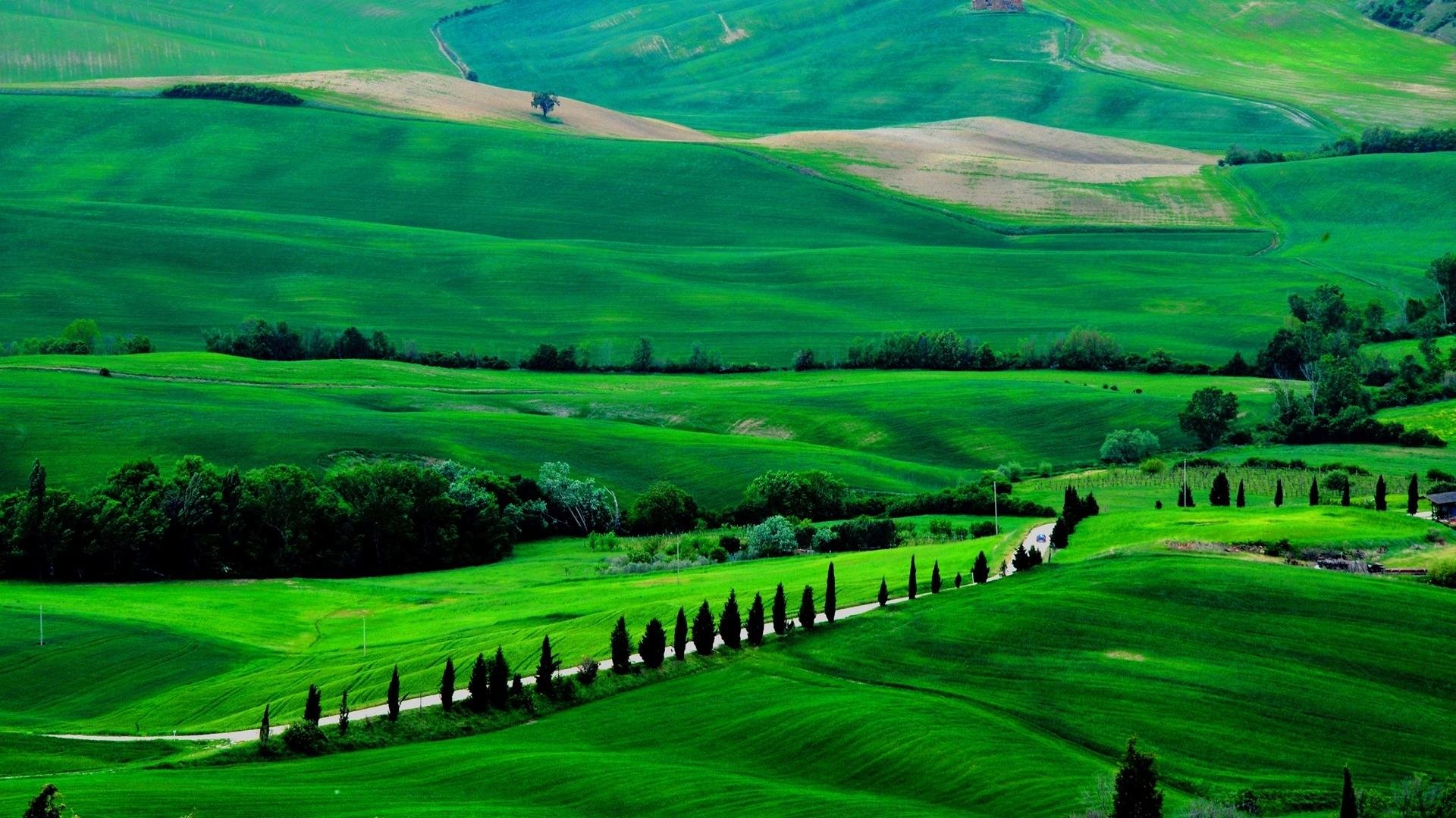 自然风光,绿色,清新,唯美,意境,炎炎夏日,旅游胜地,风景