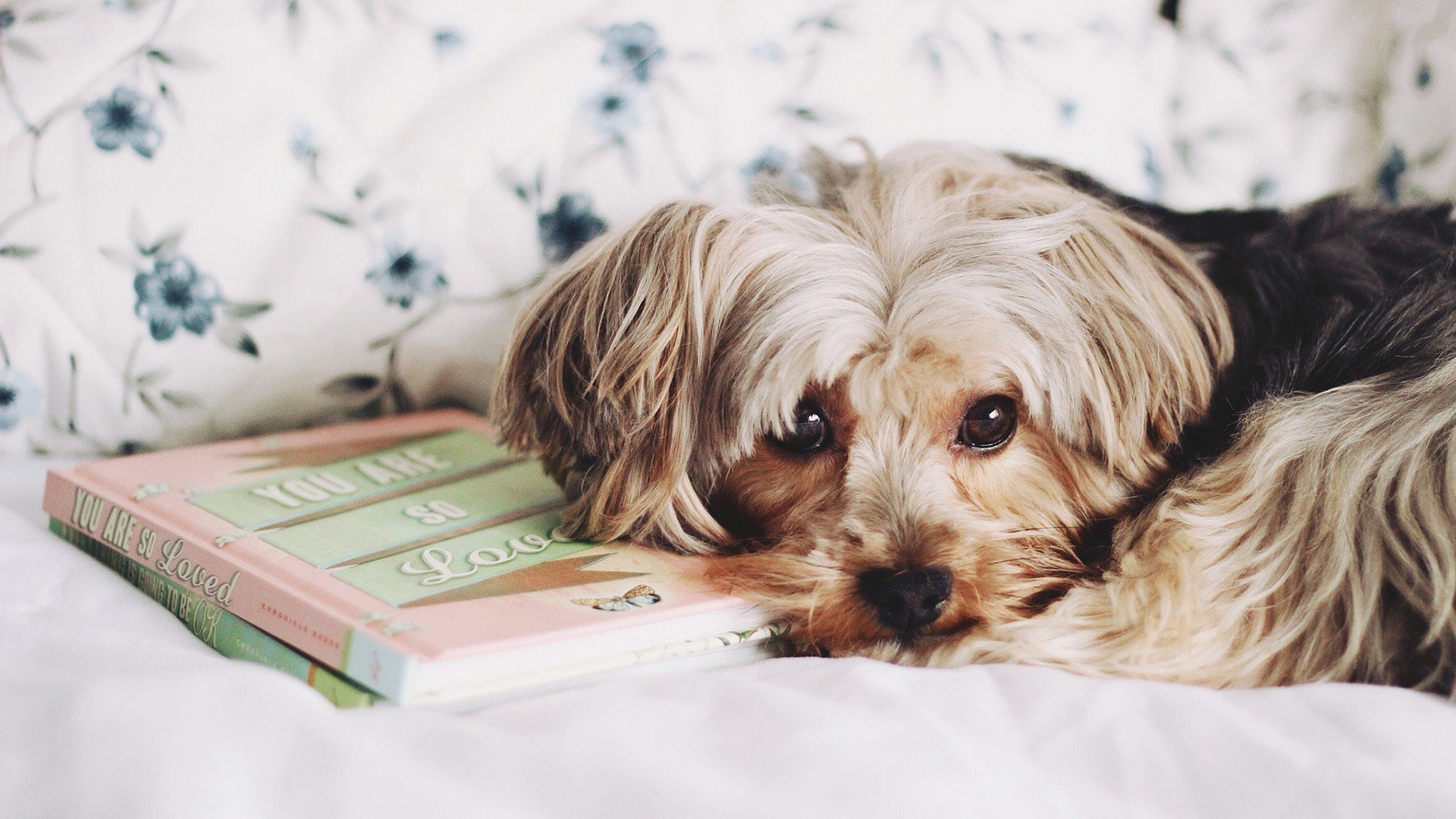 小清新,唯美,温暖,安静