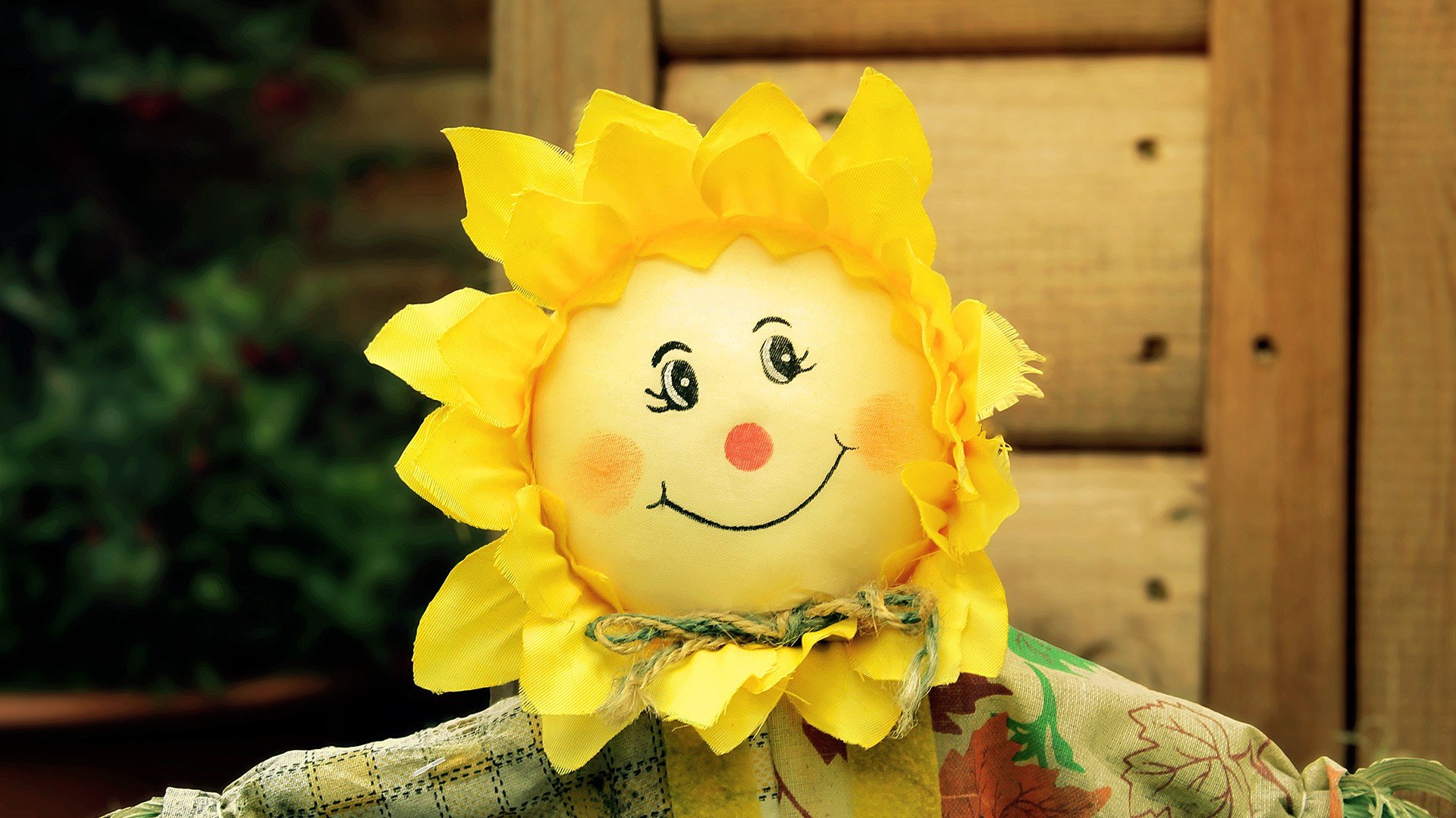 小清新,唯美,温馨,温暖,阳光,治愈系,安静,生活,慢生活,清新淡雅,温馨一刻,静物写真,物语,太阳花,玩具,笑容