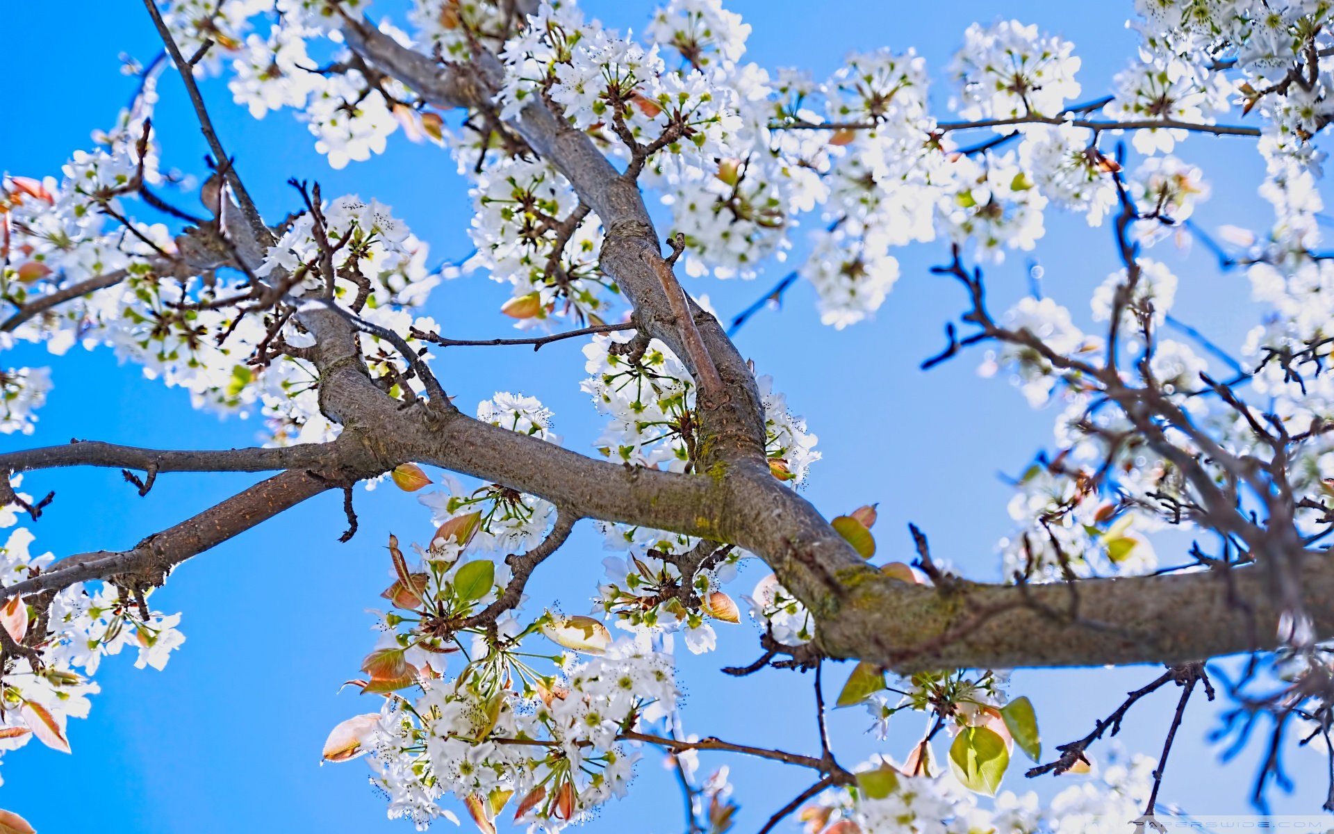 自然风光,绿色,清新,唯美,意境,炎炎夏日,旅游胜地,风景