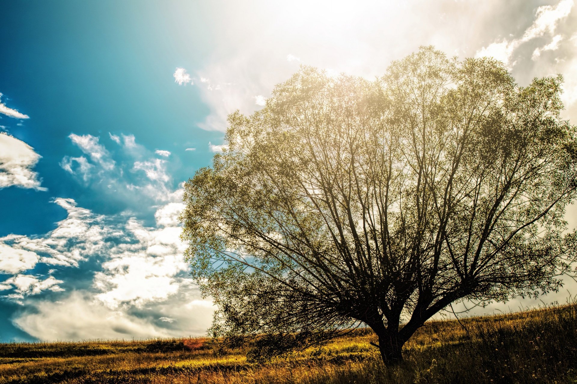 自然,风光,风景,落日余晖,夕阳,黄昏,傍晚,唯美