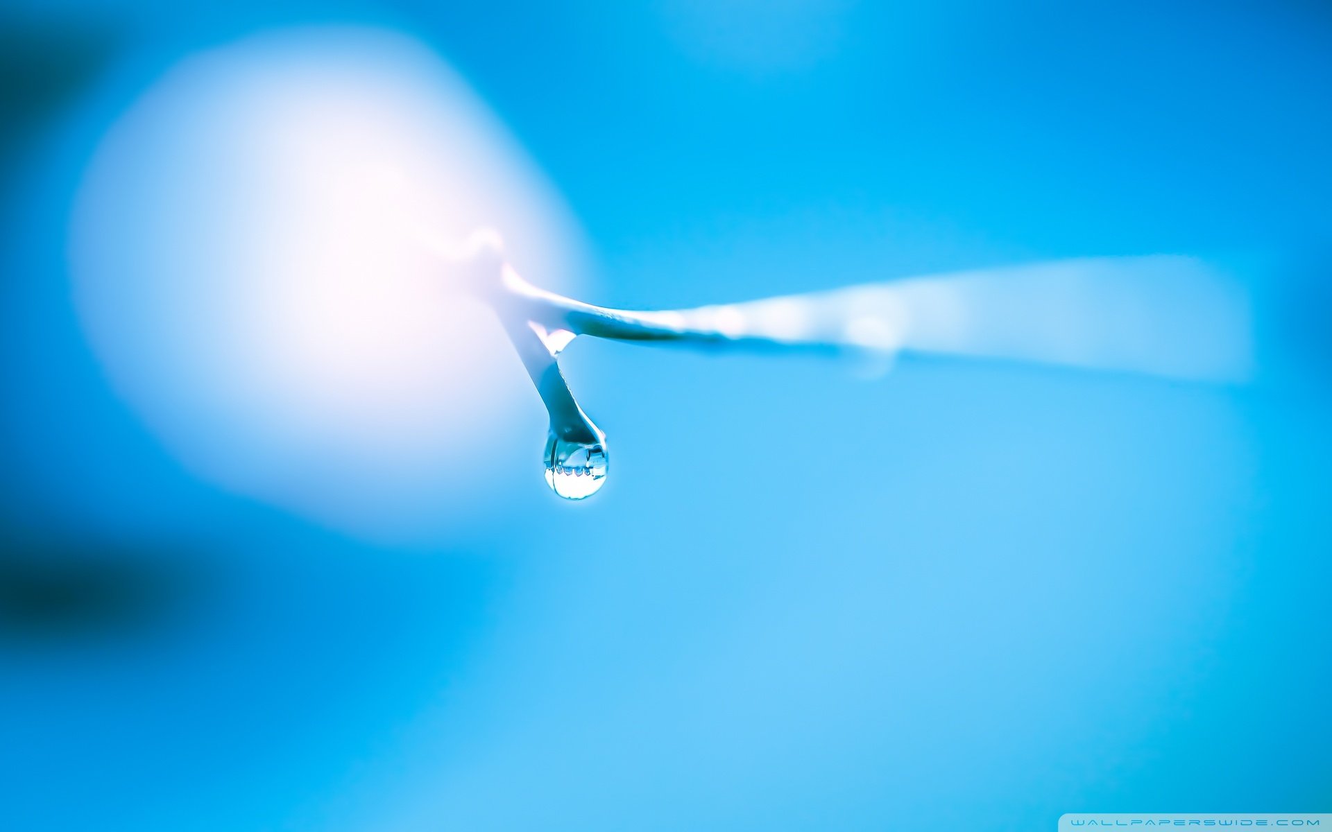 自然风光,绿色,清新,唯美,意境,炎炎夏日,旅游胜地,风景