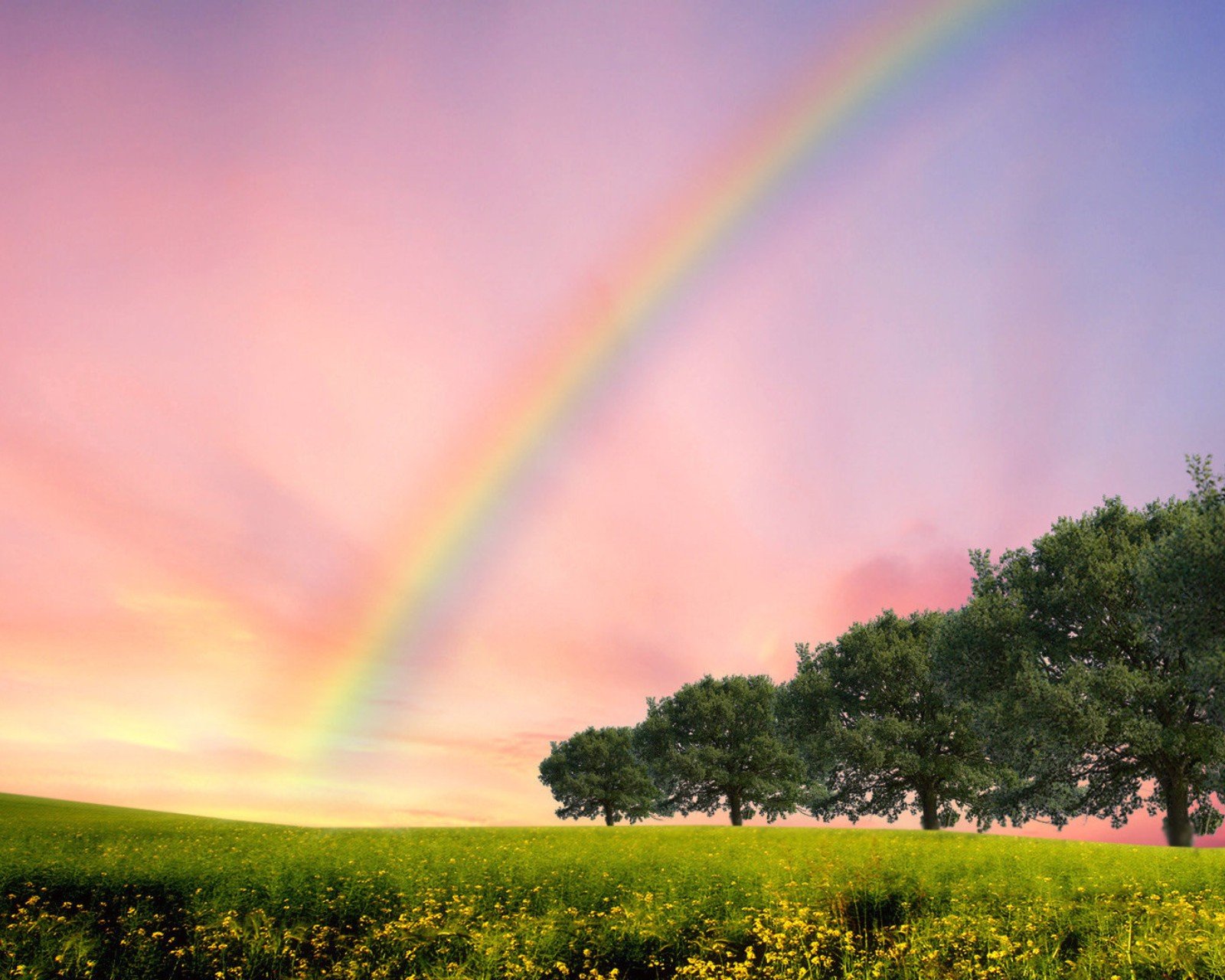 自然风光,绿色,清新,唯美,意境,炎炎夏日,旅游胜地,风景