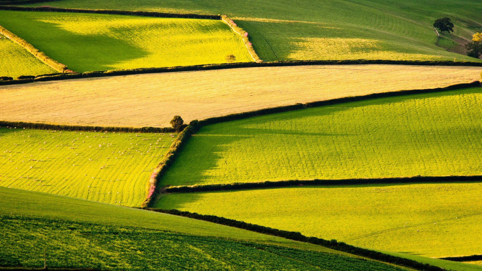 自然风光,绿色,清新,唯美,意境,炎炎夏日,旅游胜地,风景
