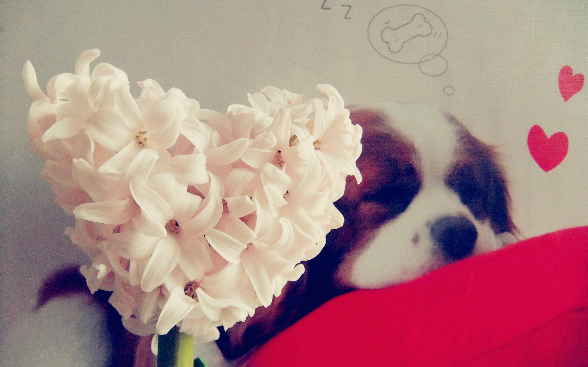 大自然的爱,心,唯美,风景,自然