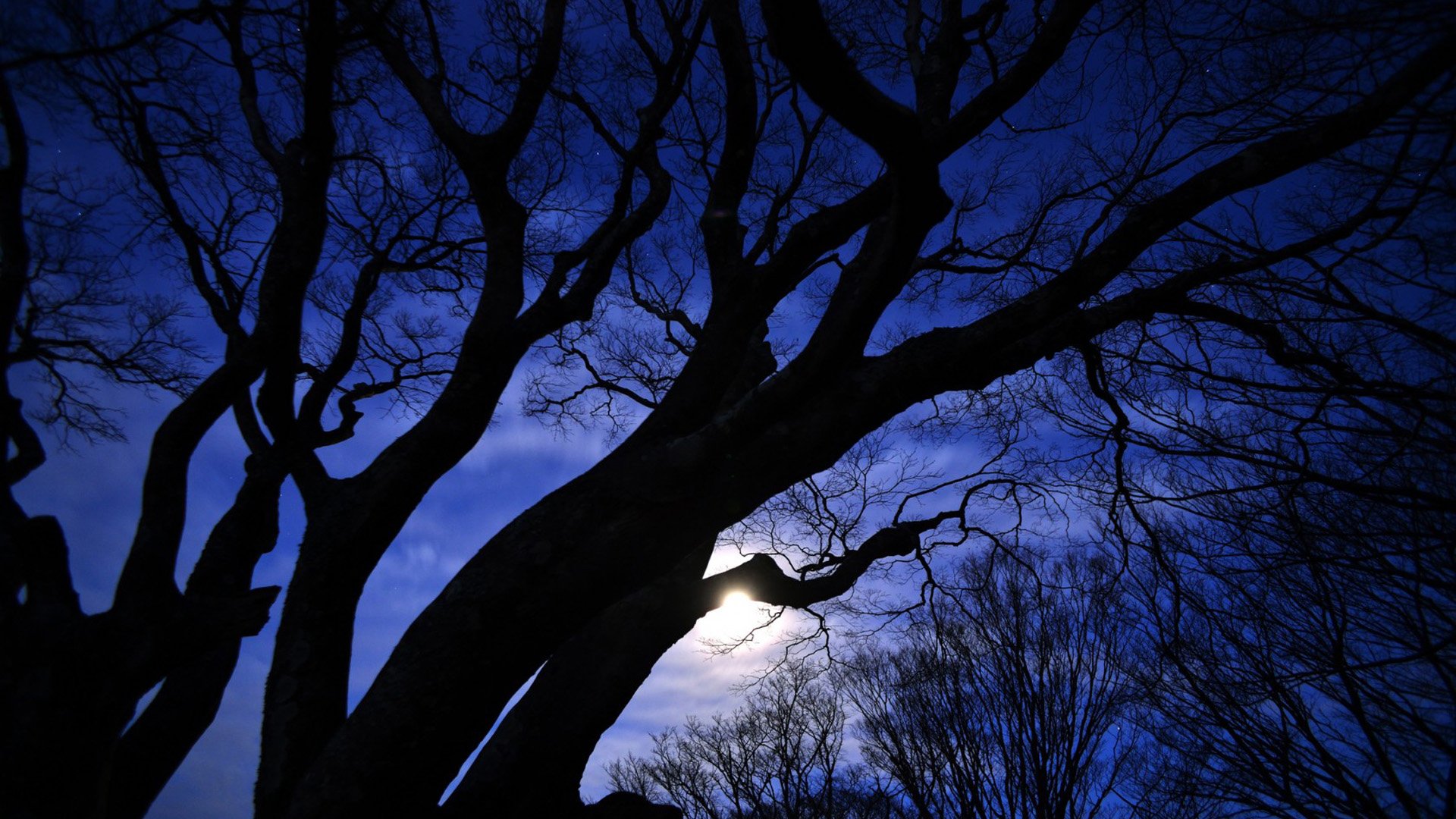 LOMO,回忆,风景,寂静,安静,落日余晖