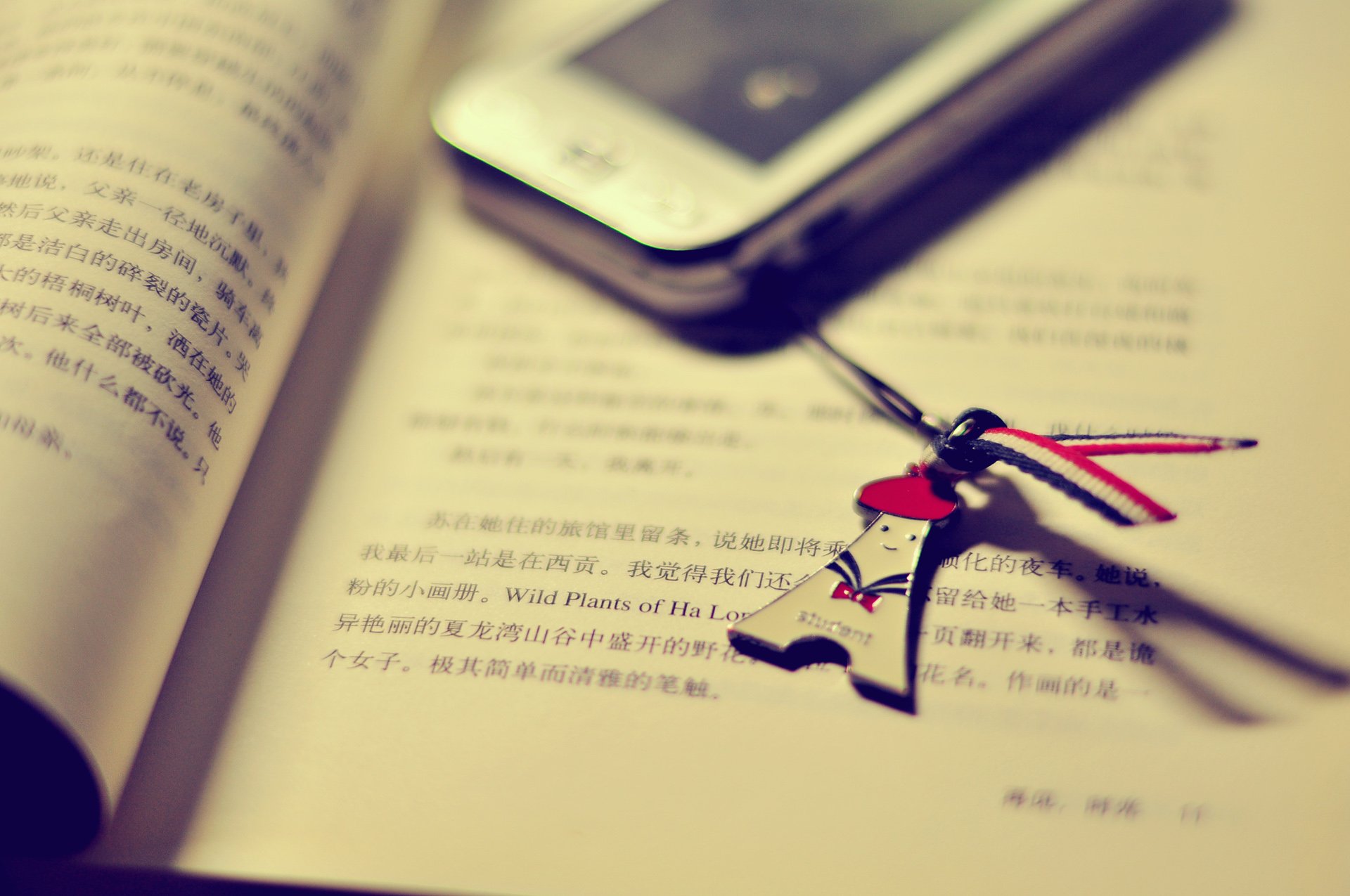 小清新,唯美,温馨,温暖,阳光,治愈系,安静,生活,慢生活,清新淡雅,温馨一刻,静物写真,物语,手机