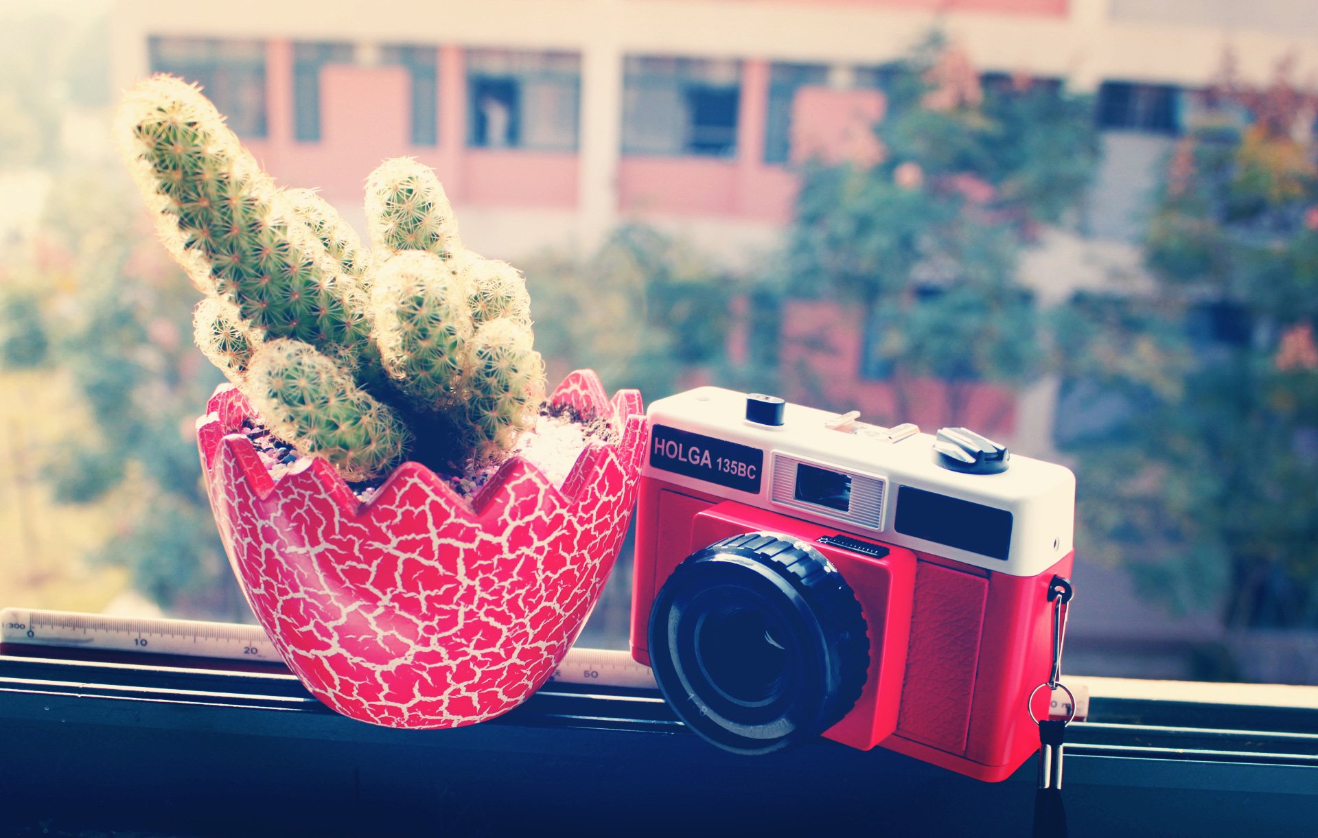 小清新,唯美,温馨,温暖,阳光,治愈系,安静,生活,慢生活,清新淡雅,温馨一刻,静物写真,相机,LOMO