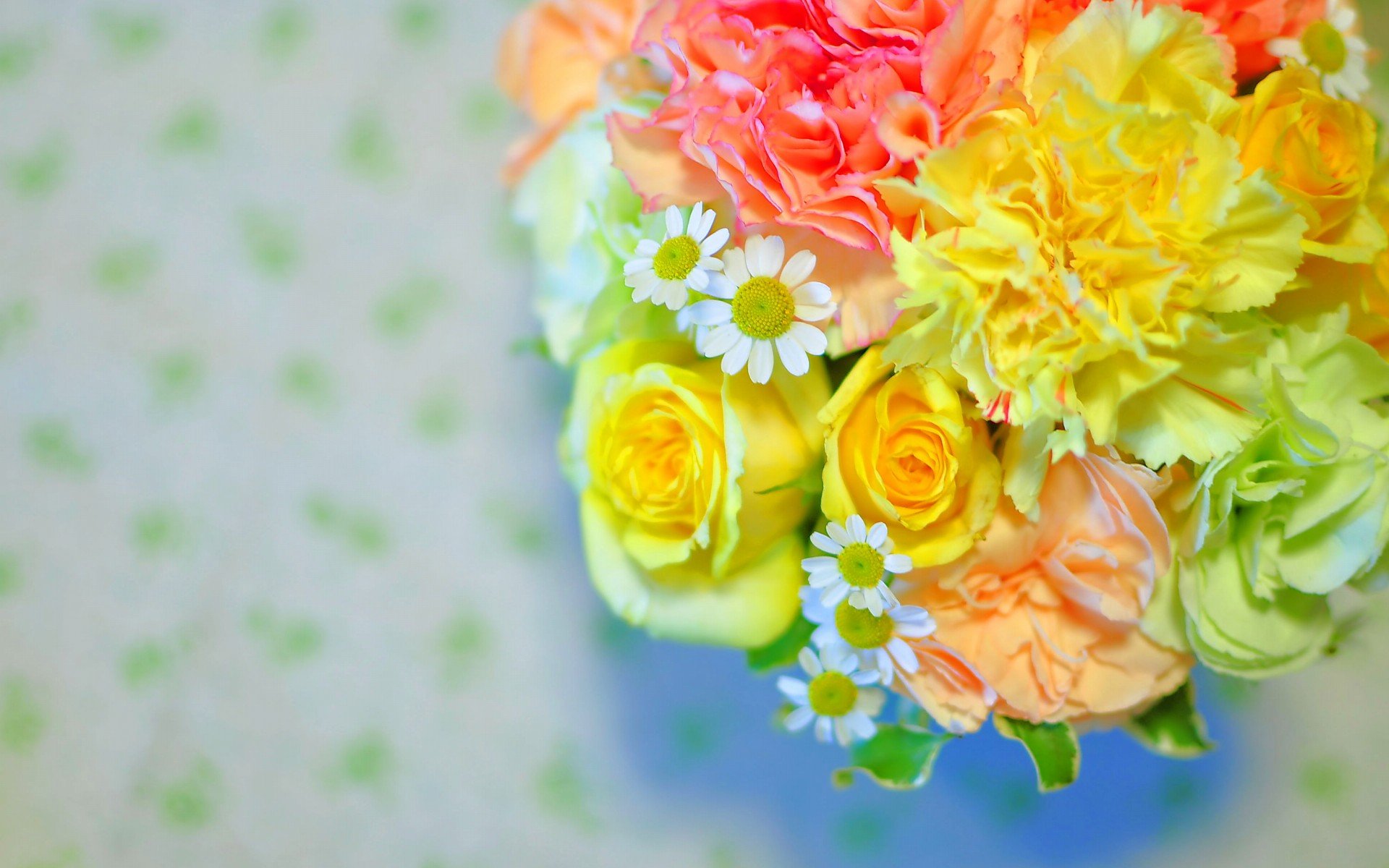 小清新,唯美,娇艳欲滴,花儿,春天,温暖,温馨一刻,清新淡雅,鸟语花香