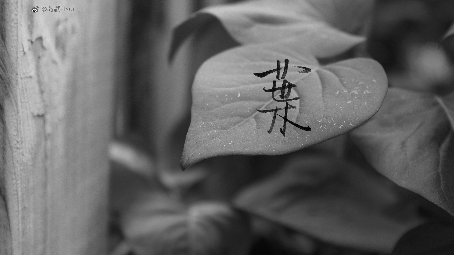 岛歌,手写,伤感,文字