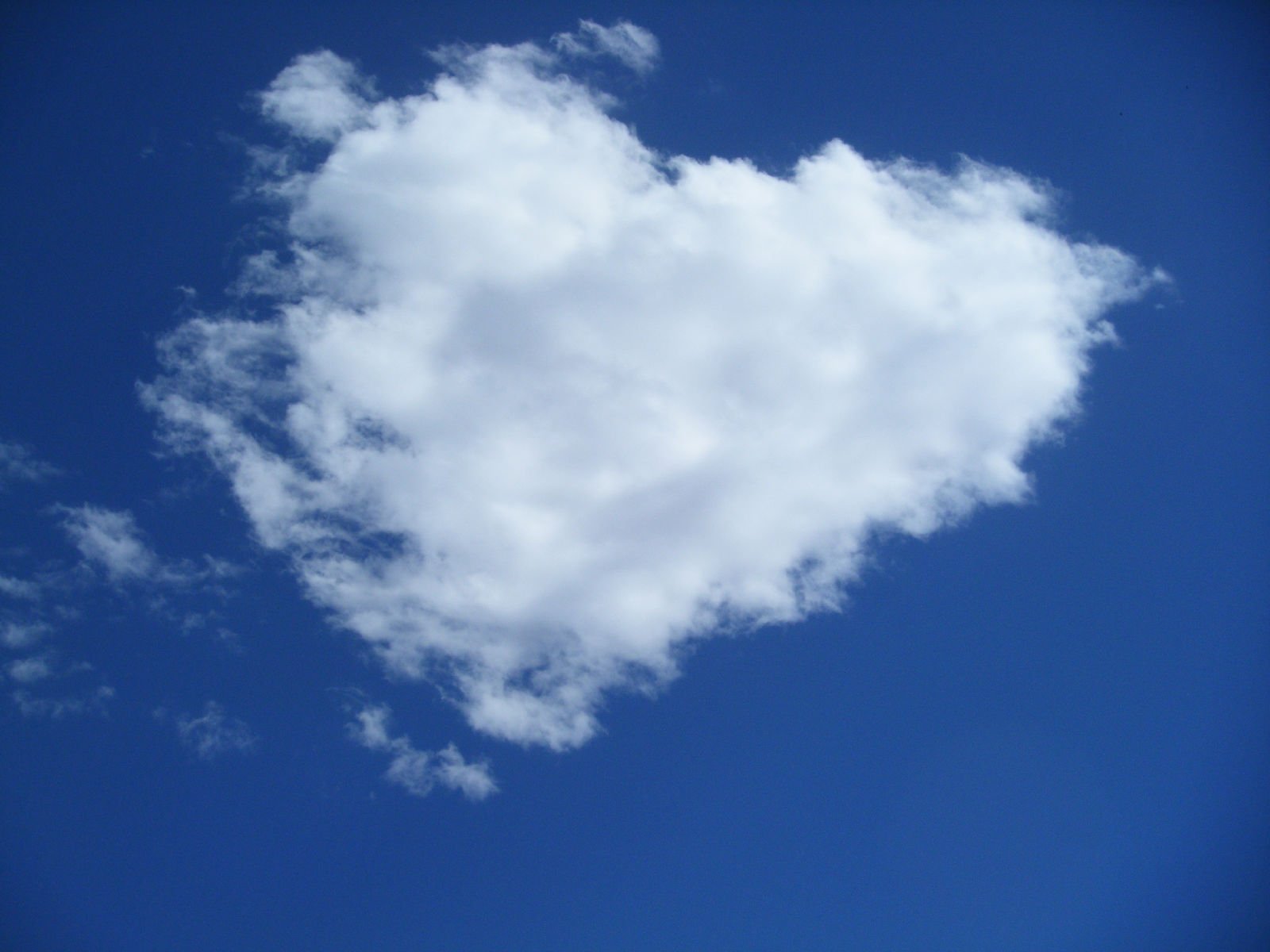 大自然的爱,心,唯美,风景,自然