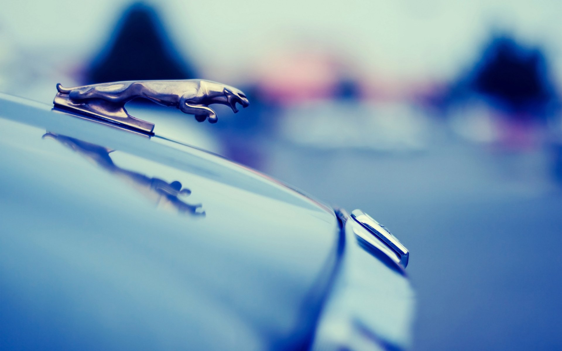 汽车,名车,车标,名车志