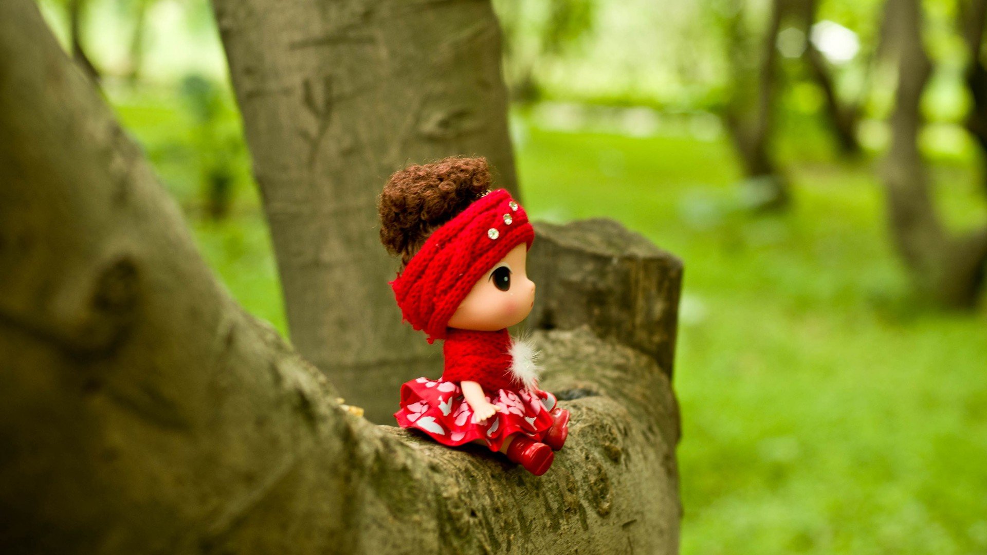 小清新,唯美,温暖,温馨一刻,静物写真