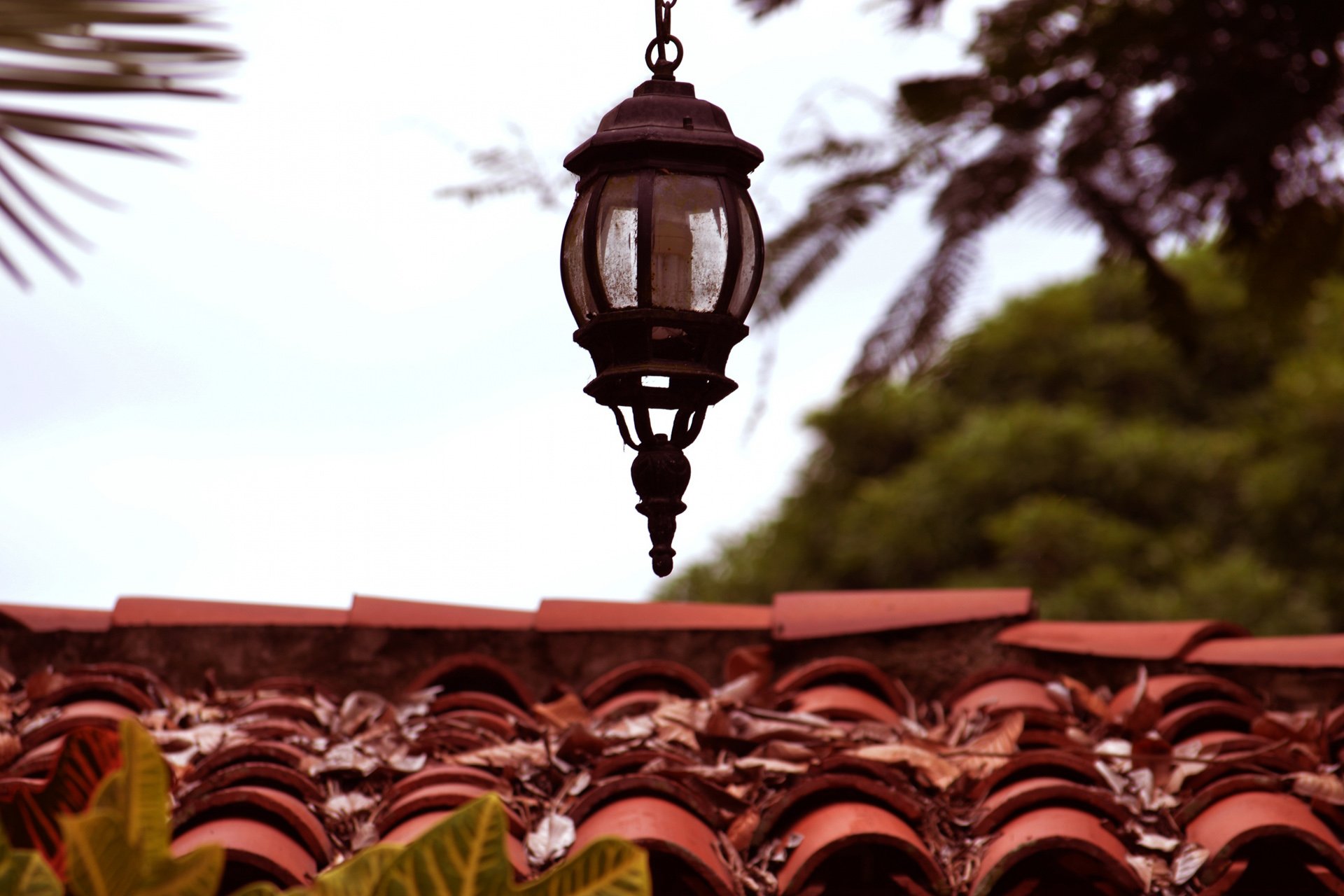 自然,风光,风景,小镇,乡村,田园,房屋,建筑